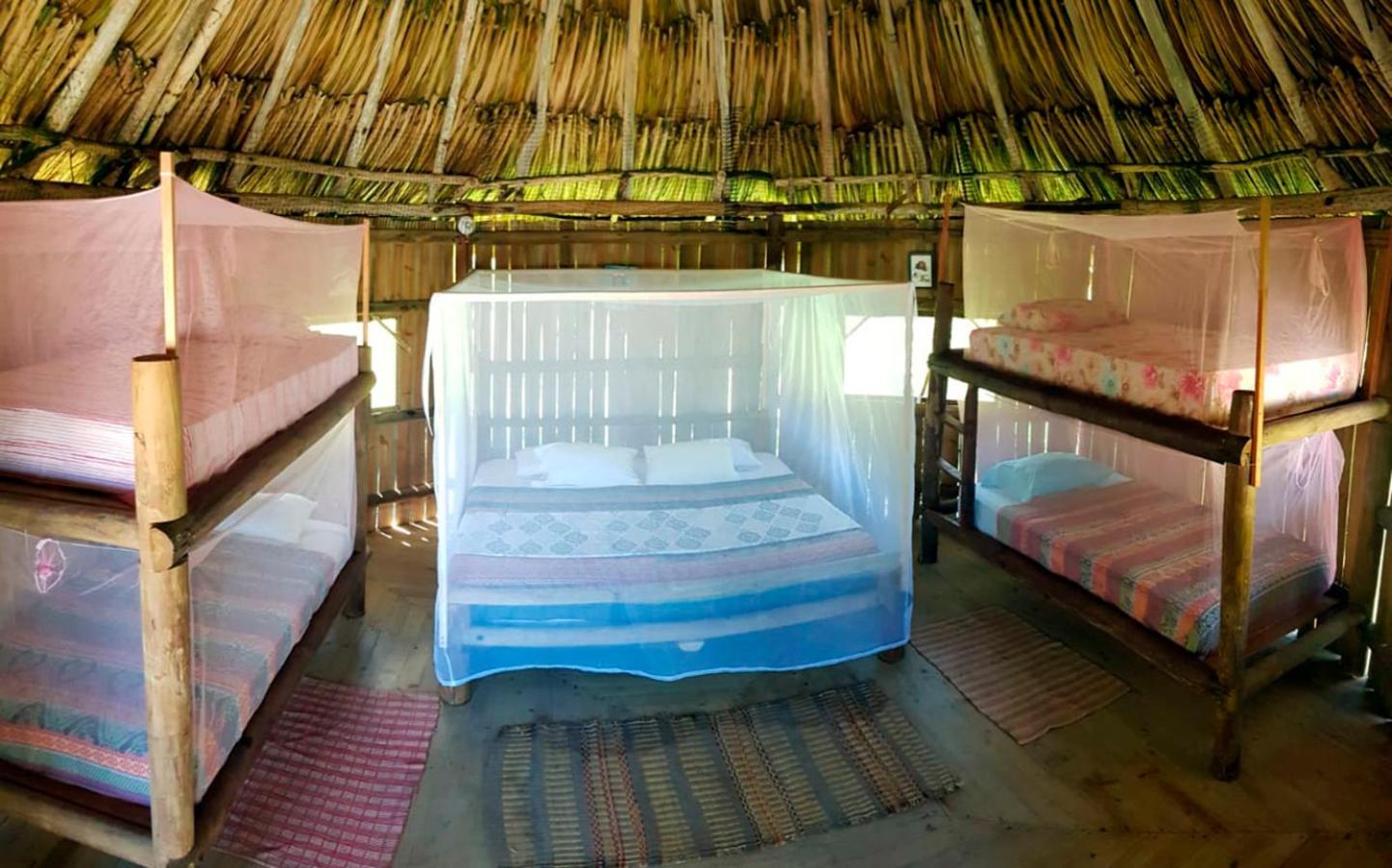 Photo 44