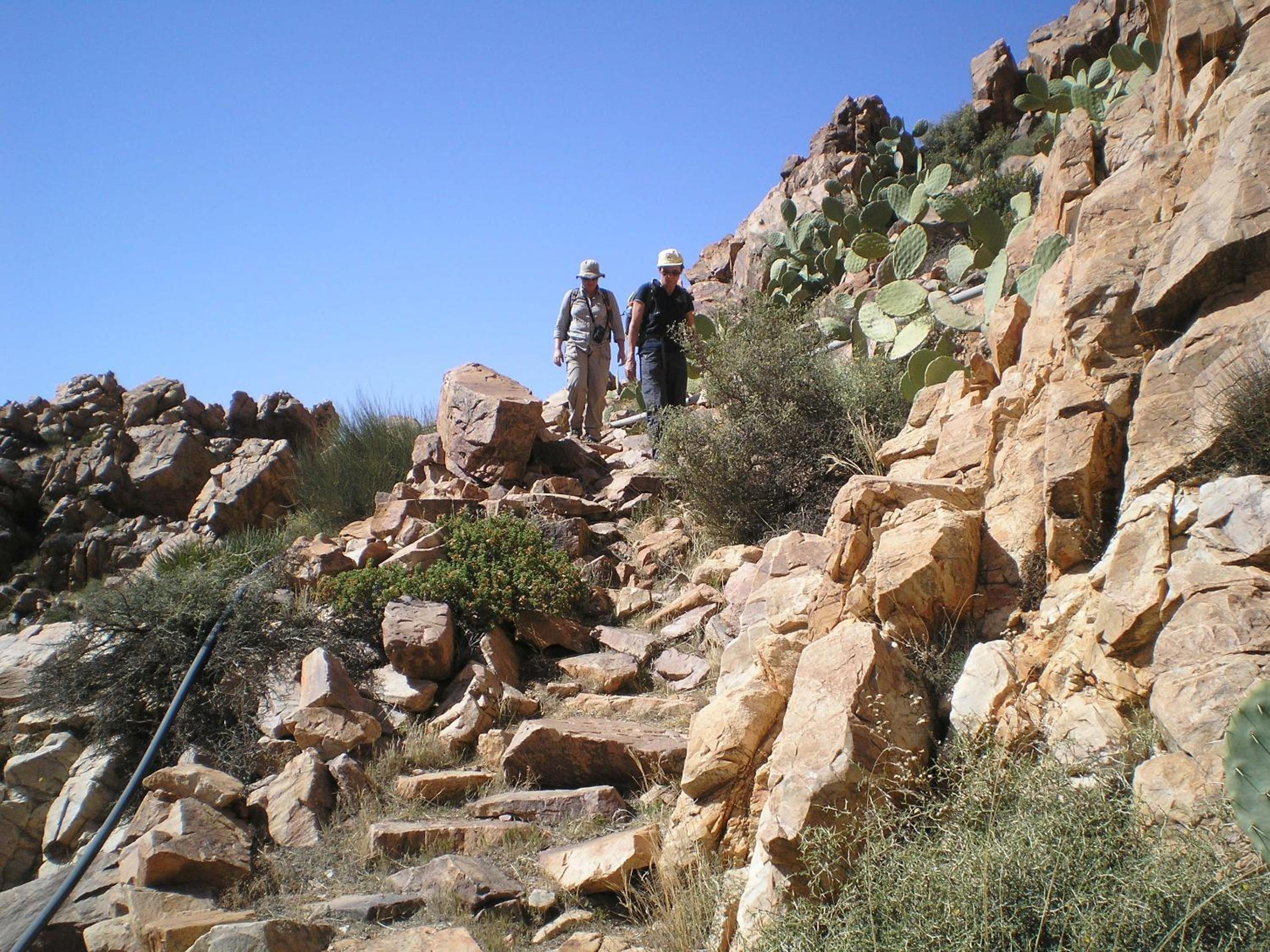 Photo 22