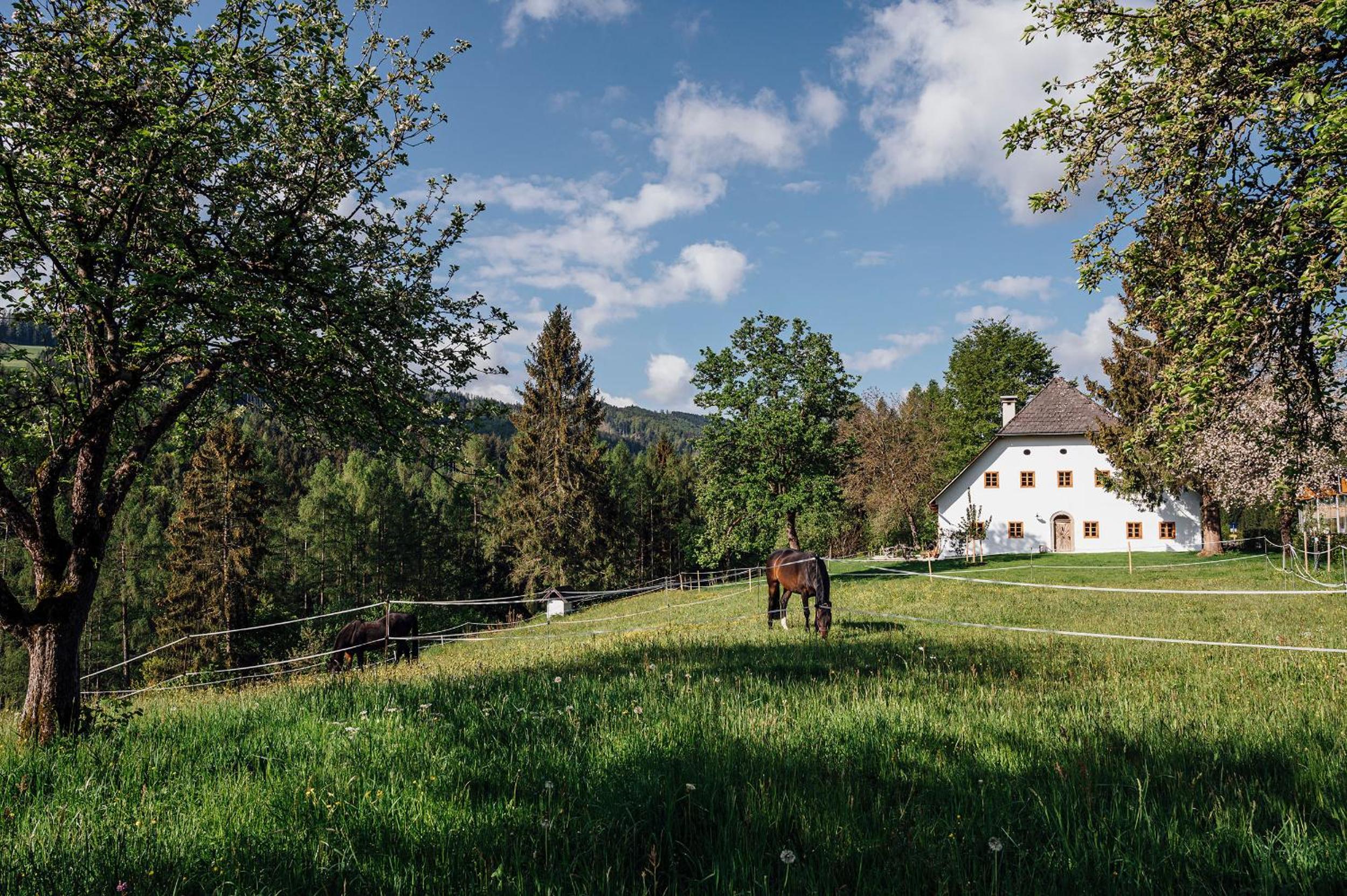 BAUERNHAUS DÖRFL IN DER STRASS