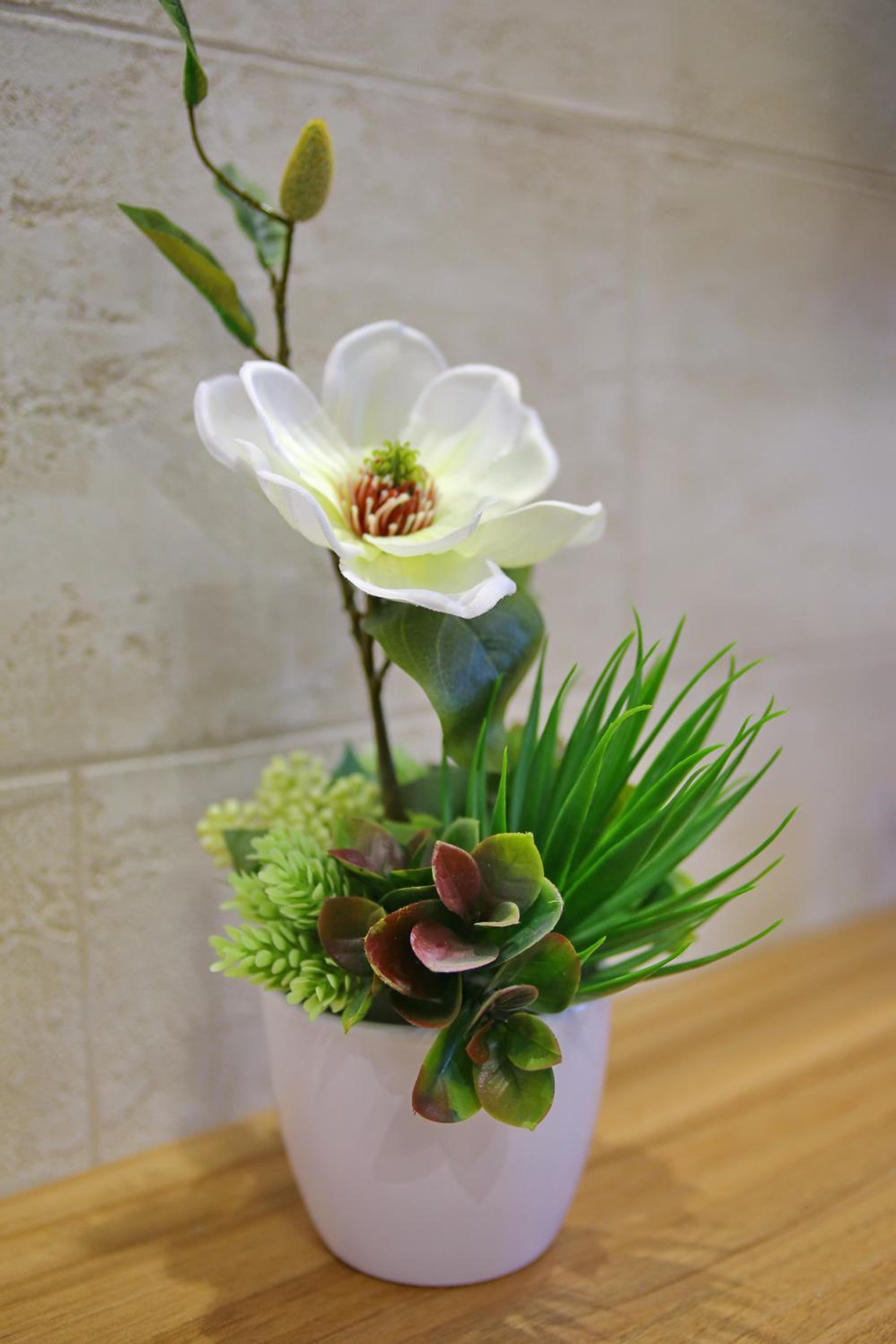 Photo 27
