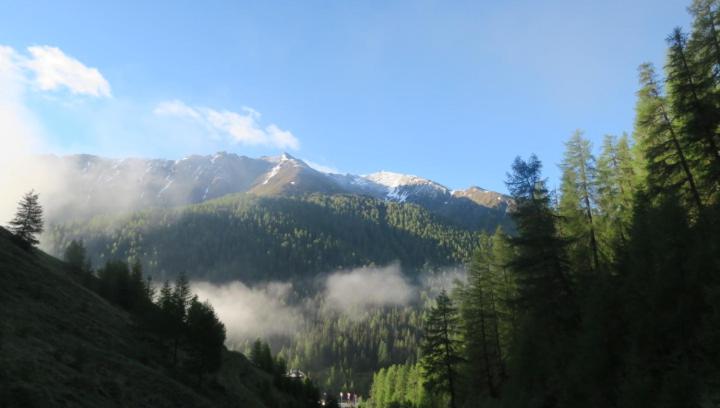 Garni Soldanella