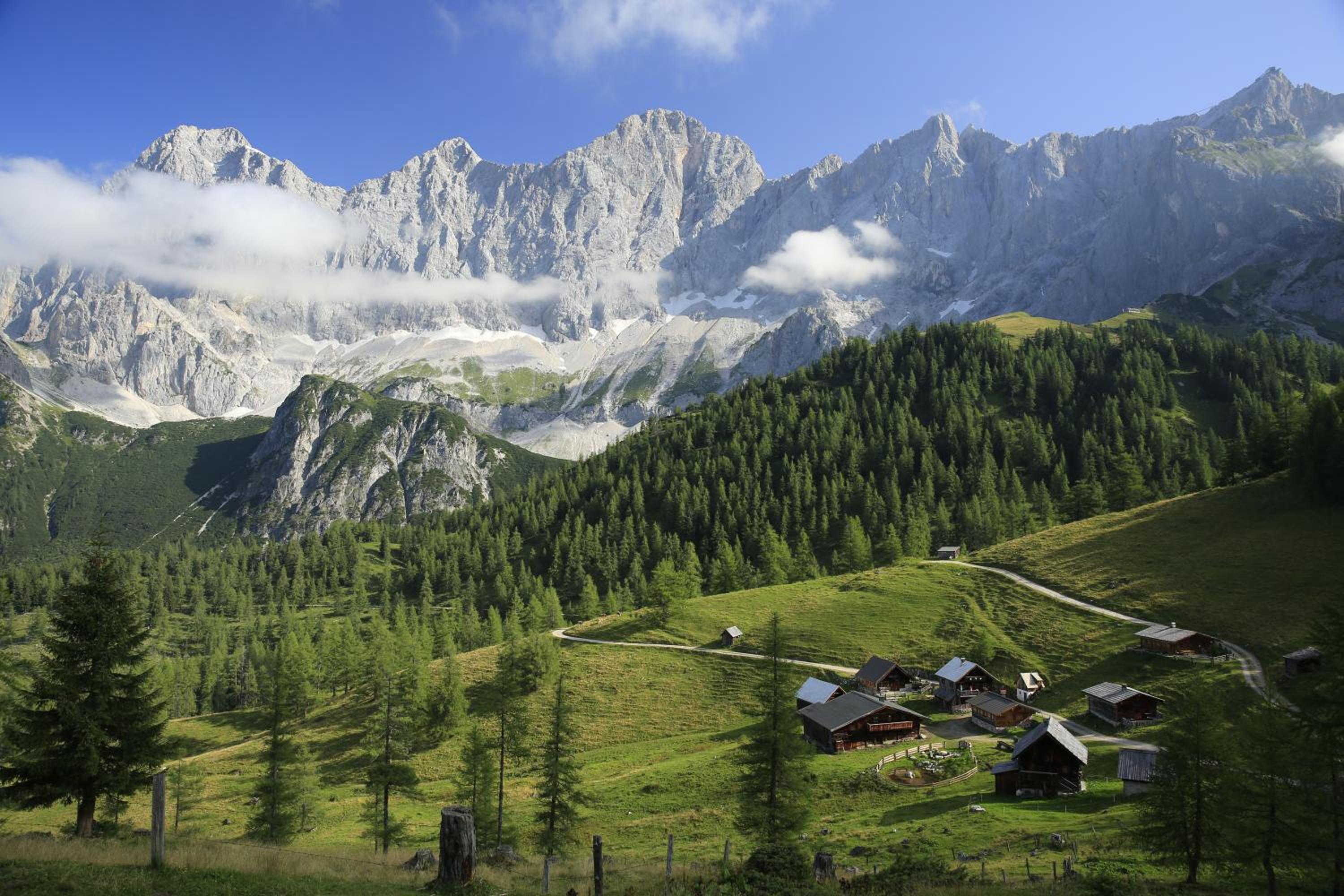 Pension Bergbauernhof Irxner