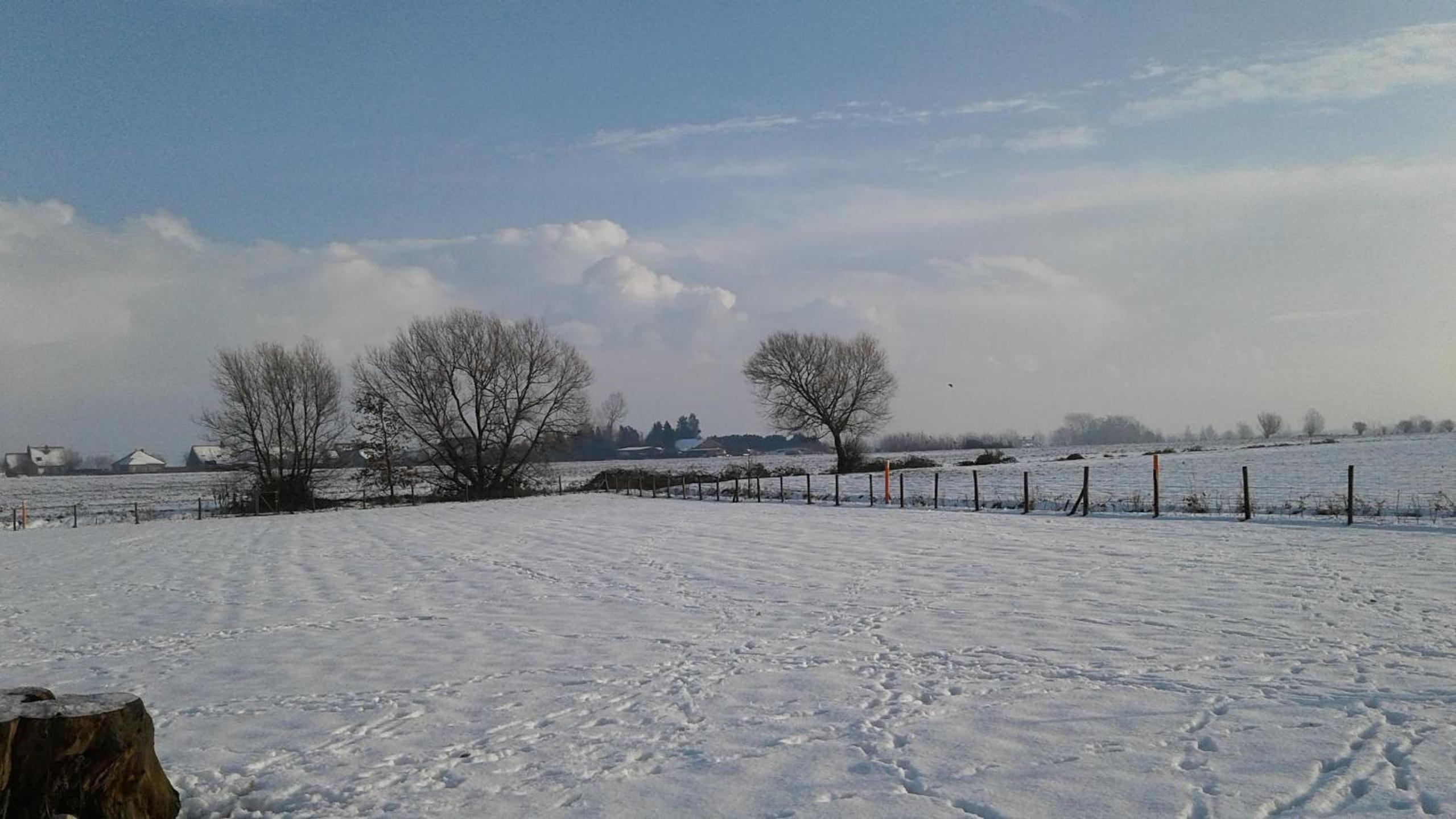 B & B Victors Hof, met zwemvijver en leuke diertjes