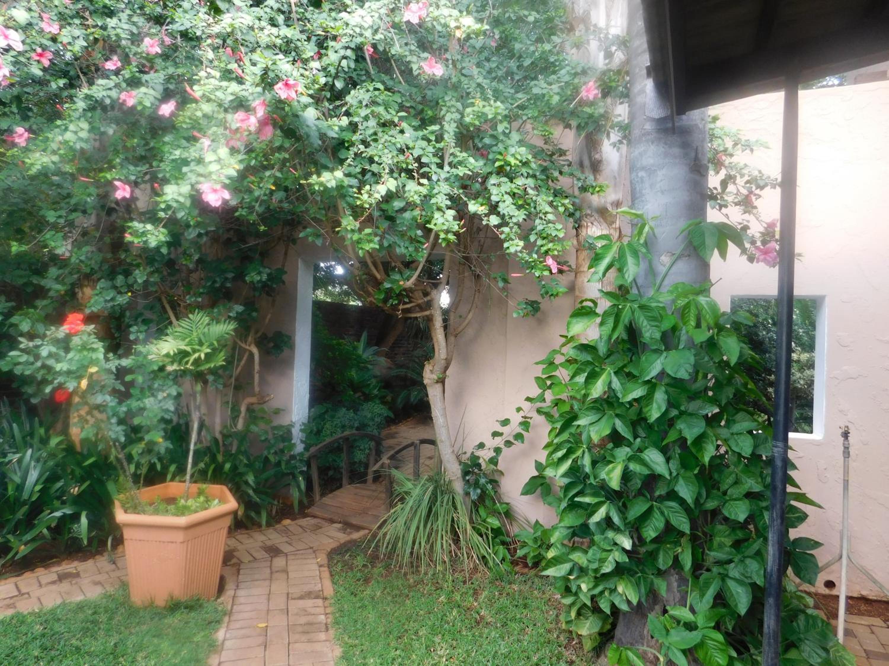 Photo 28