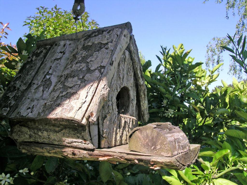 Cabañas La Escondida