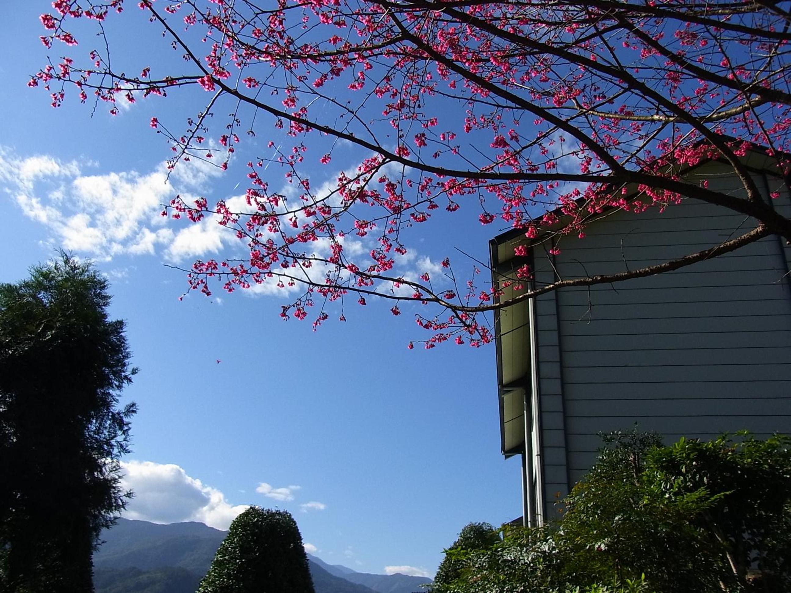 Ying Shih Guest House