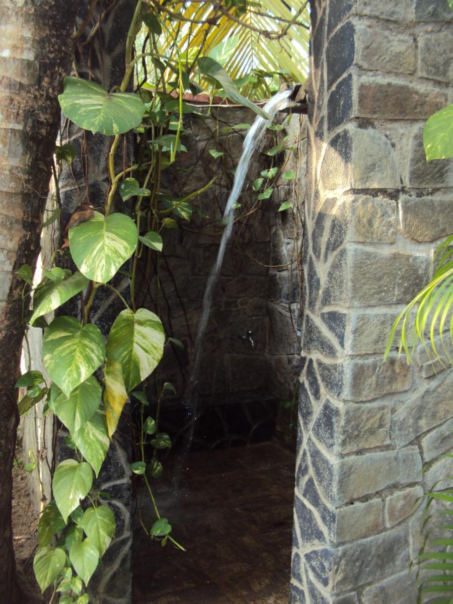Photo 35