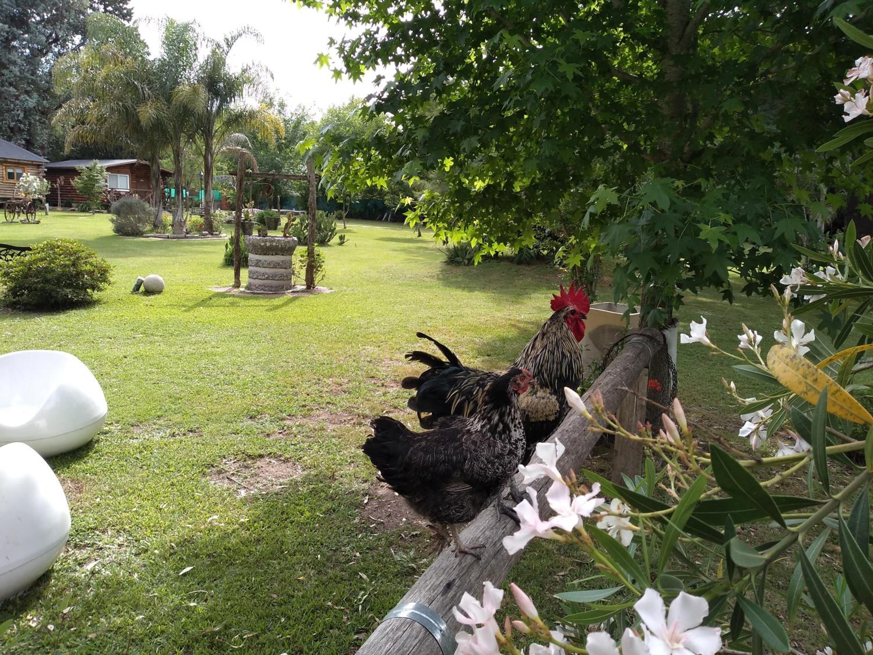 Pualy Resort & Spa