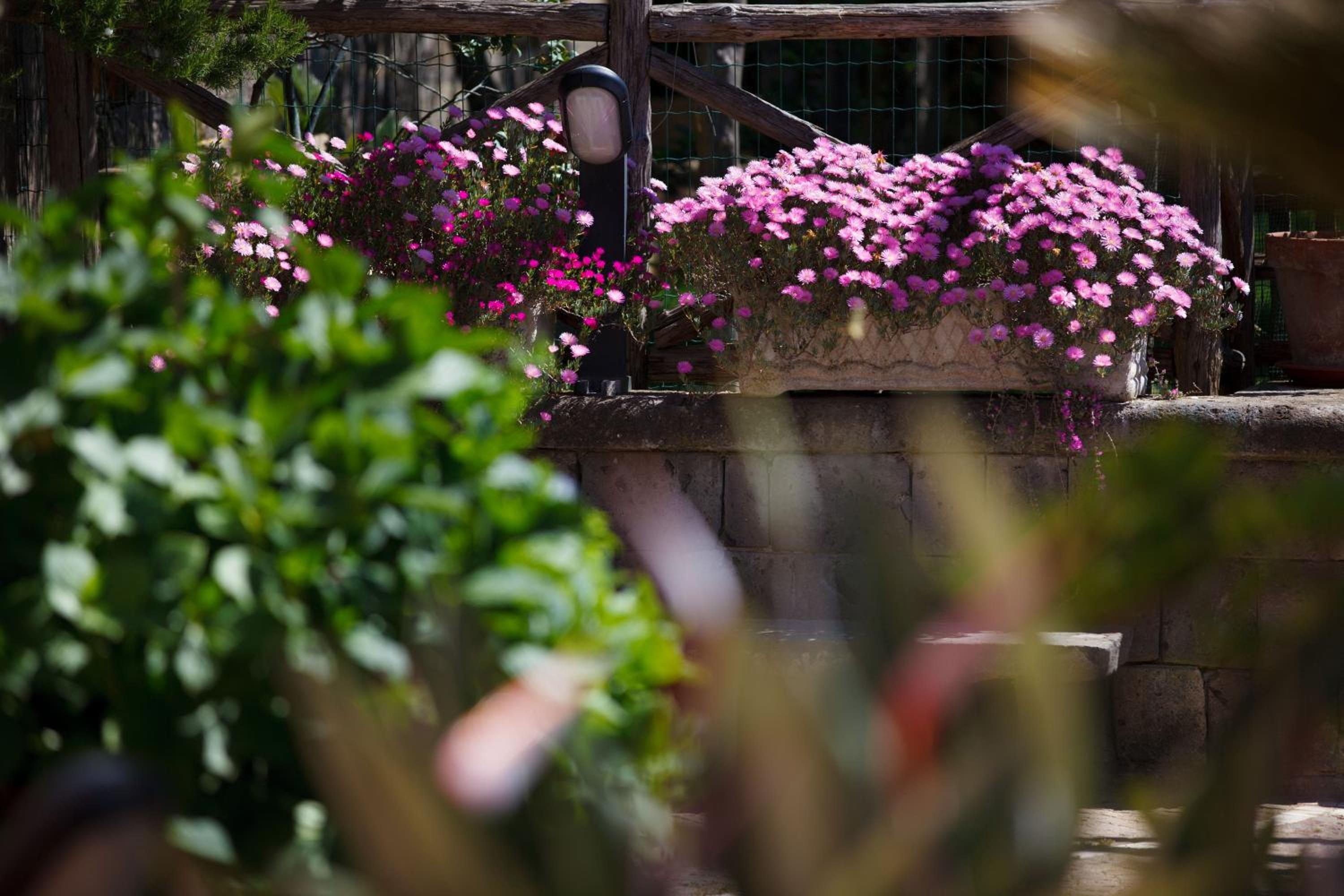 Villa Eugenia, fotografía 5