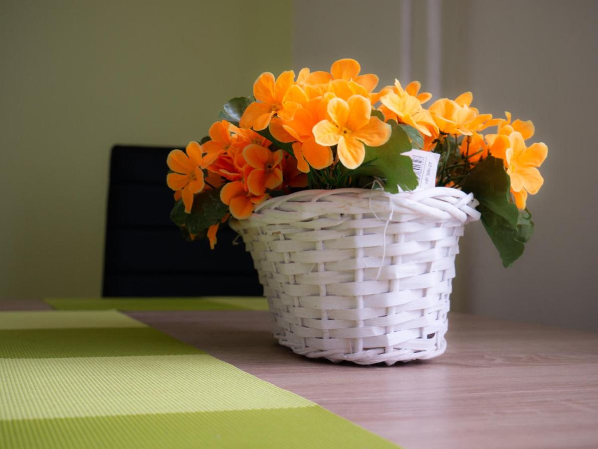Apartmán Pod Ledovcem