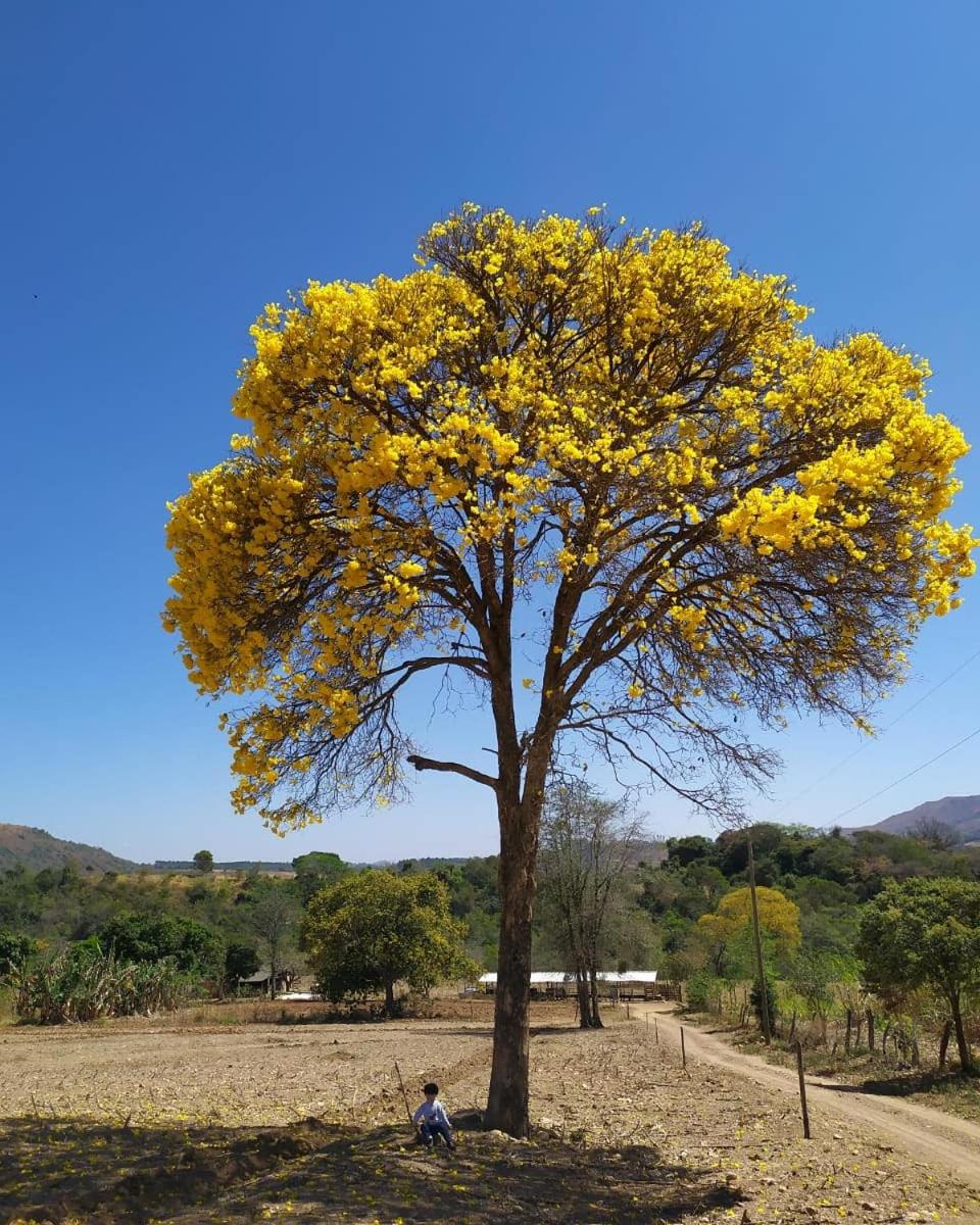 Pousada Mirante dos Ipês - Capitólio - MG