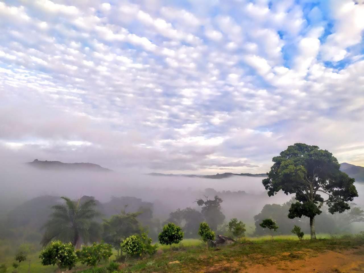 Pousada Mirante dos Ipês - Capitólio - MG