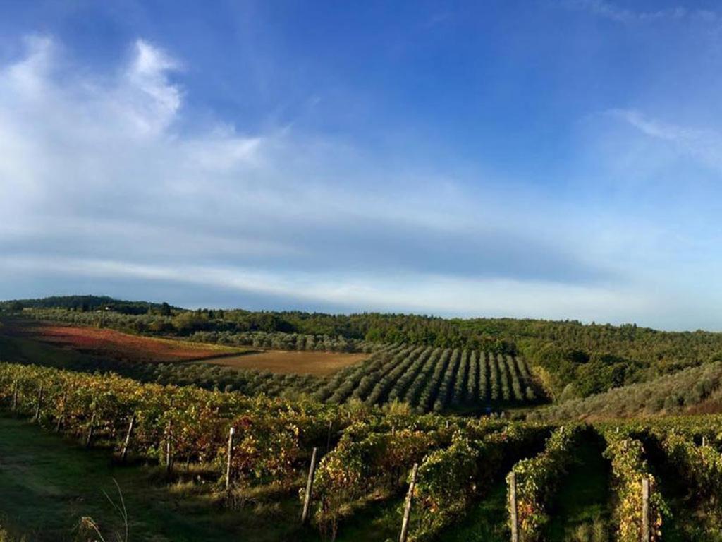 Podere La Casetta - Casa di Campagna