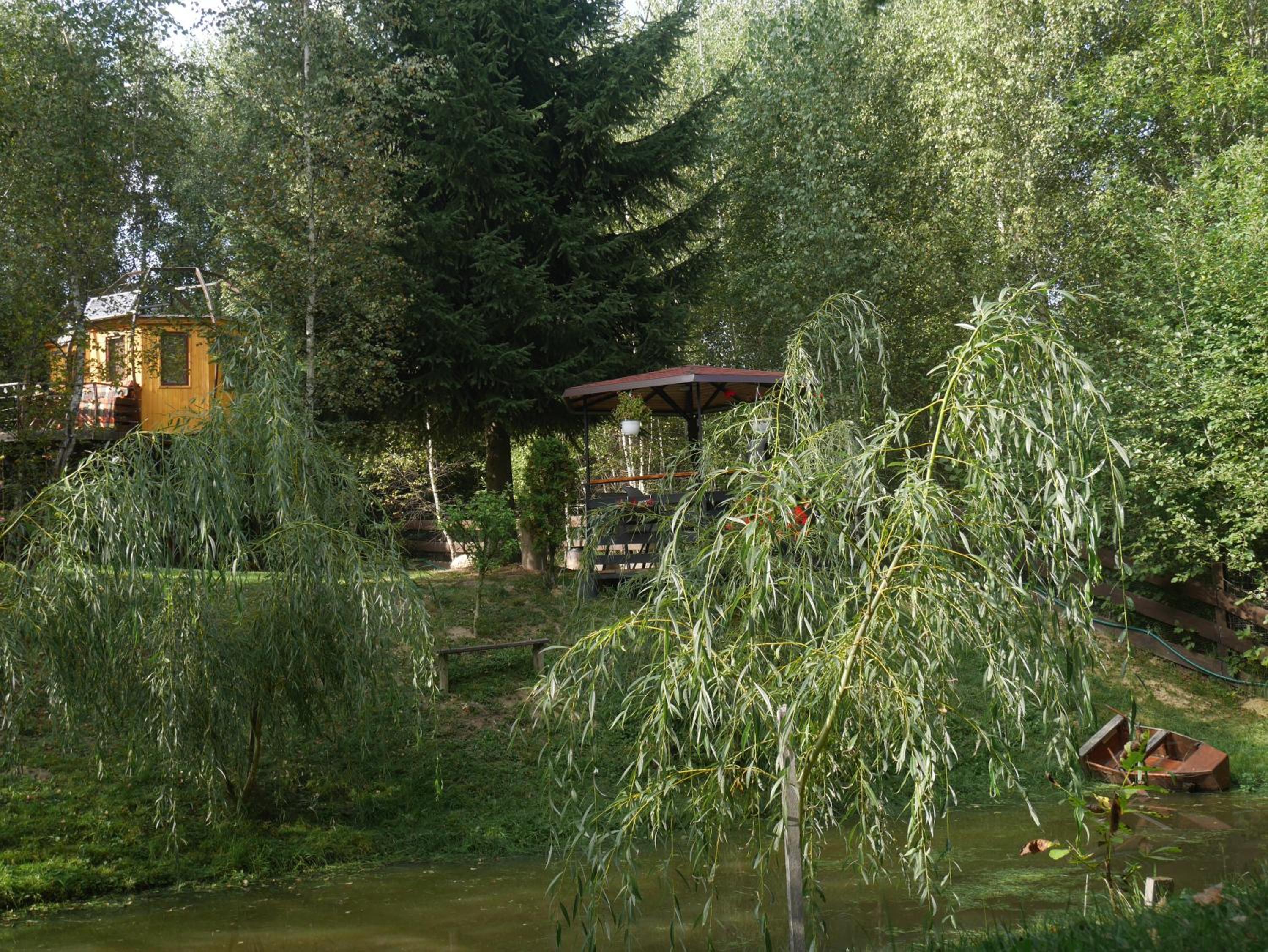 Photo 27