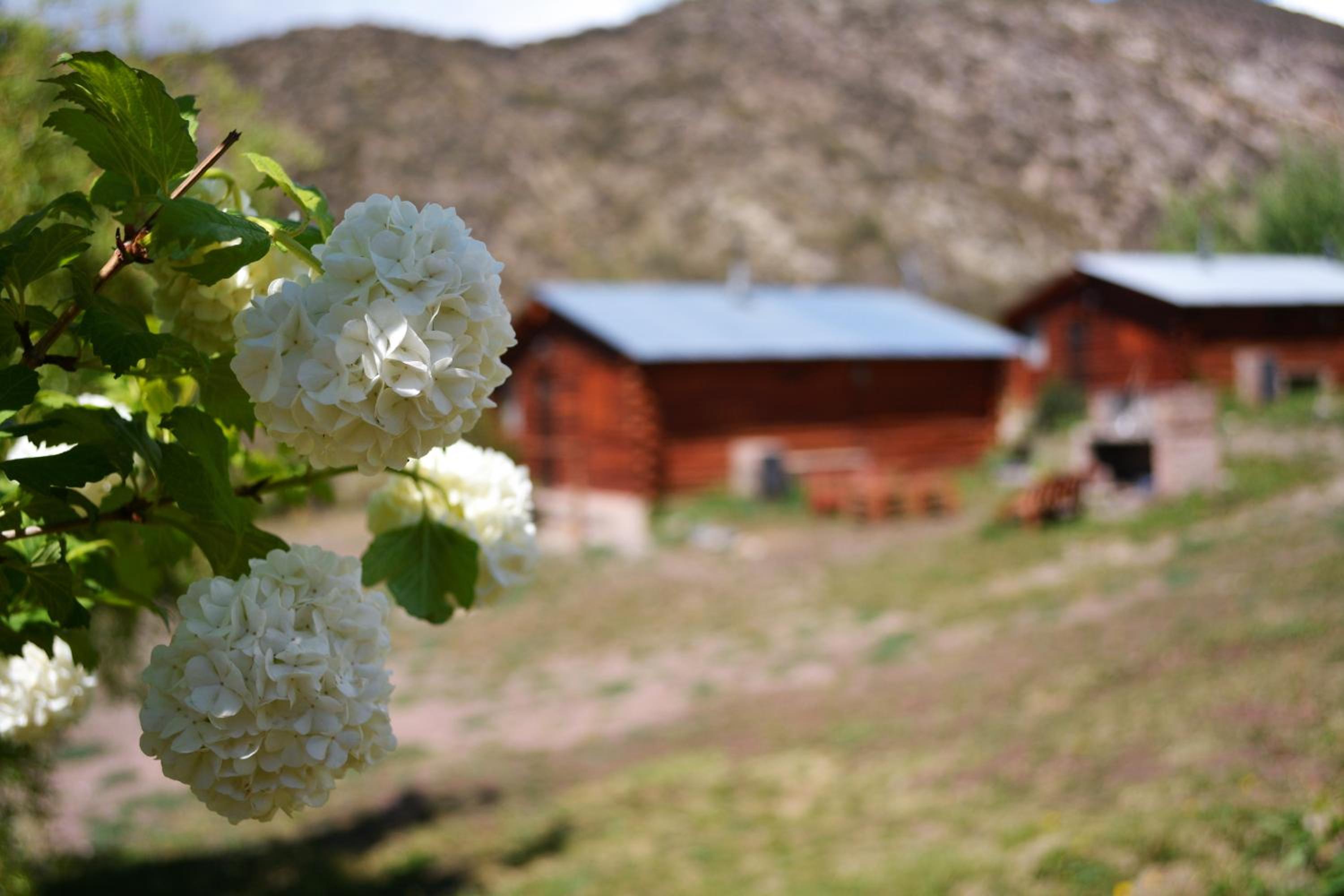 Kpriccio Cabanas