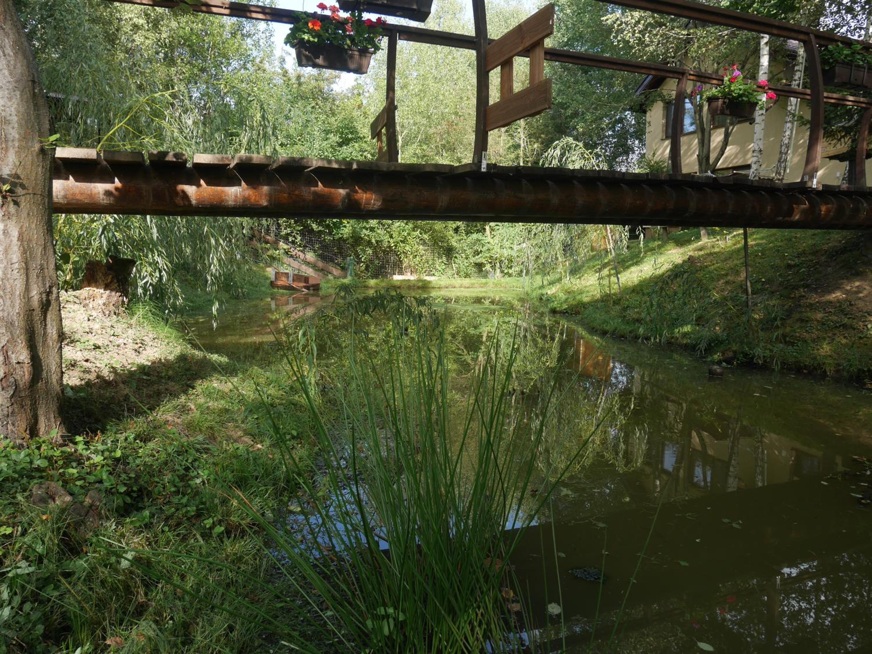 Photo 44