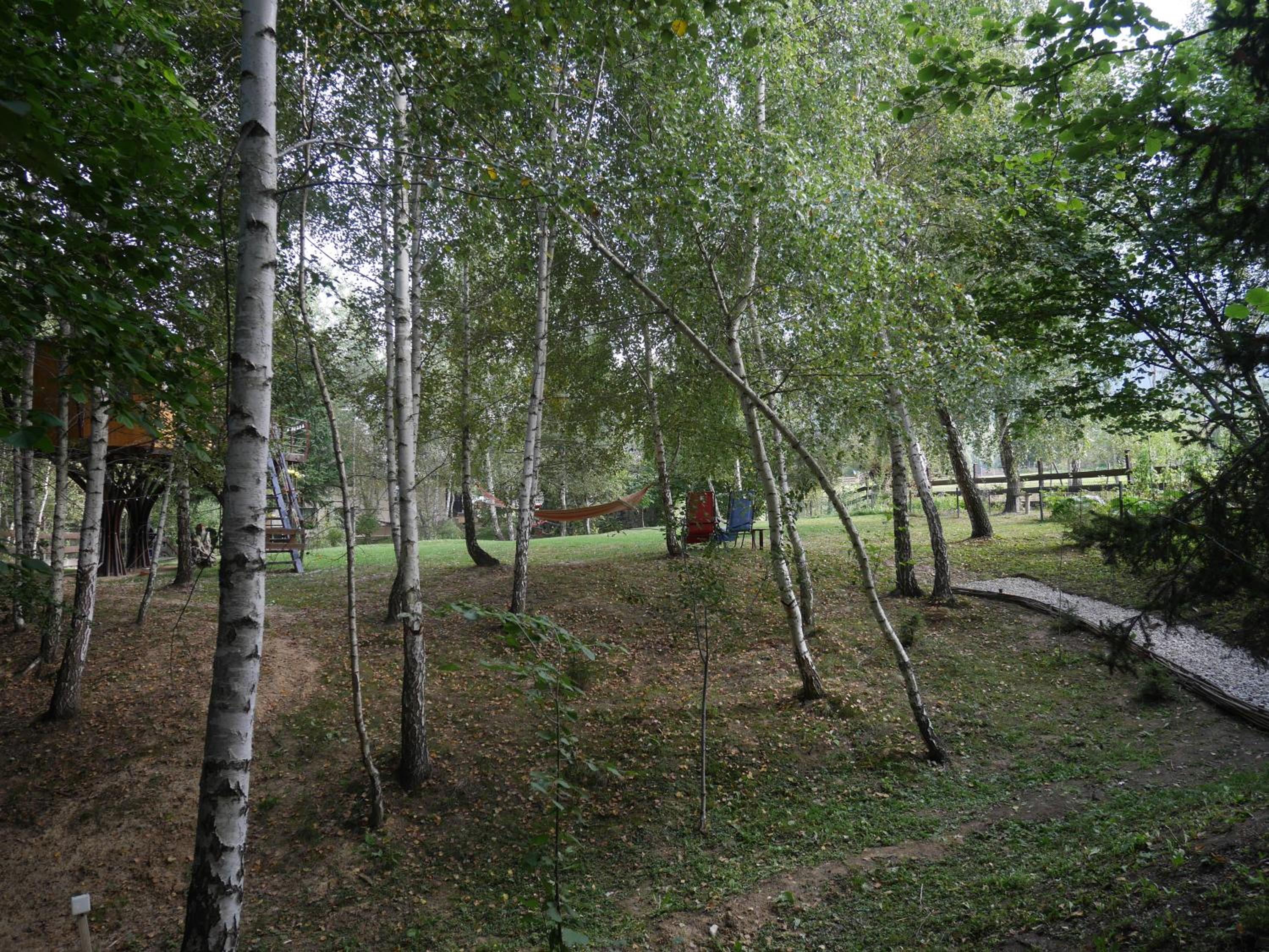 Photo 24