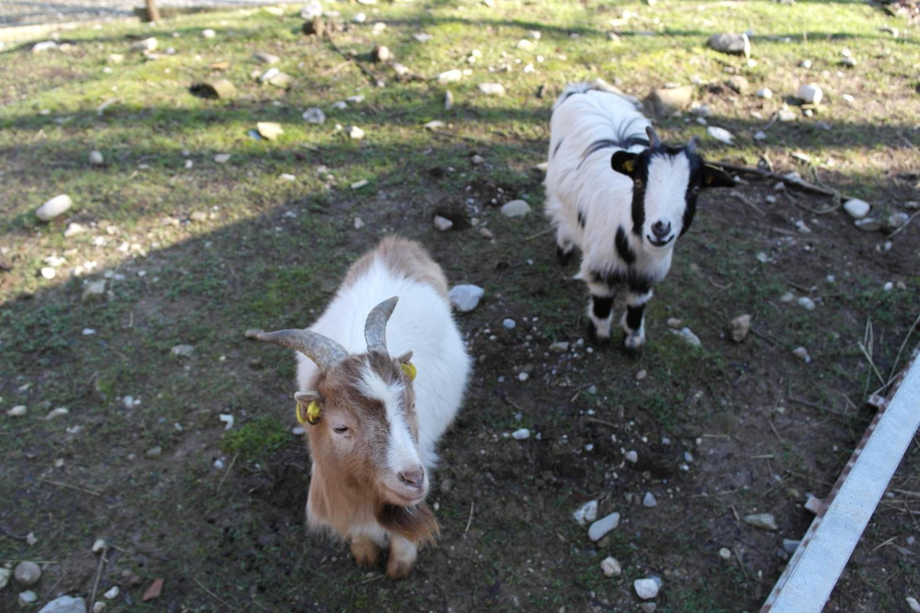 Photo 20