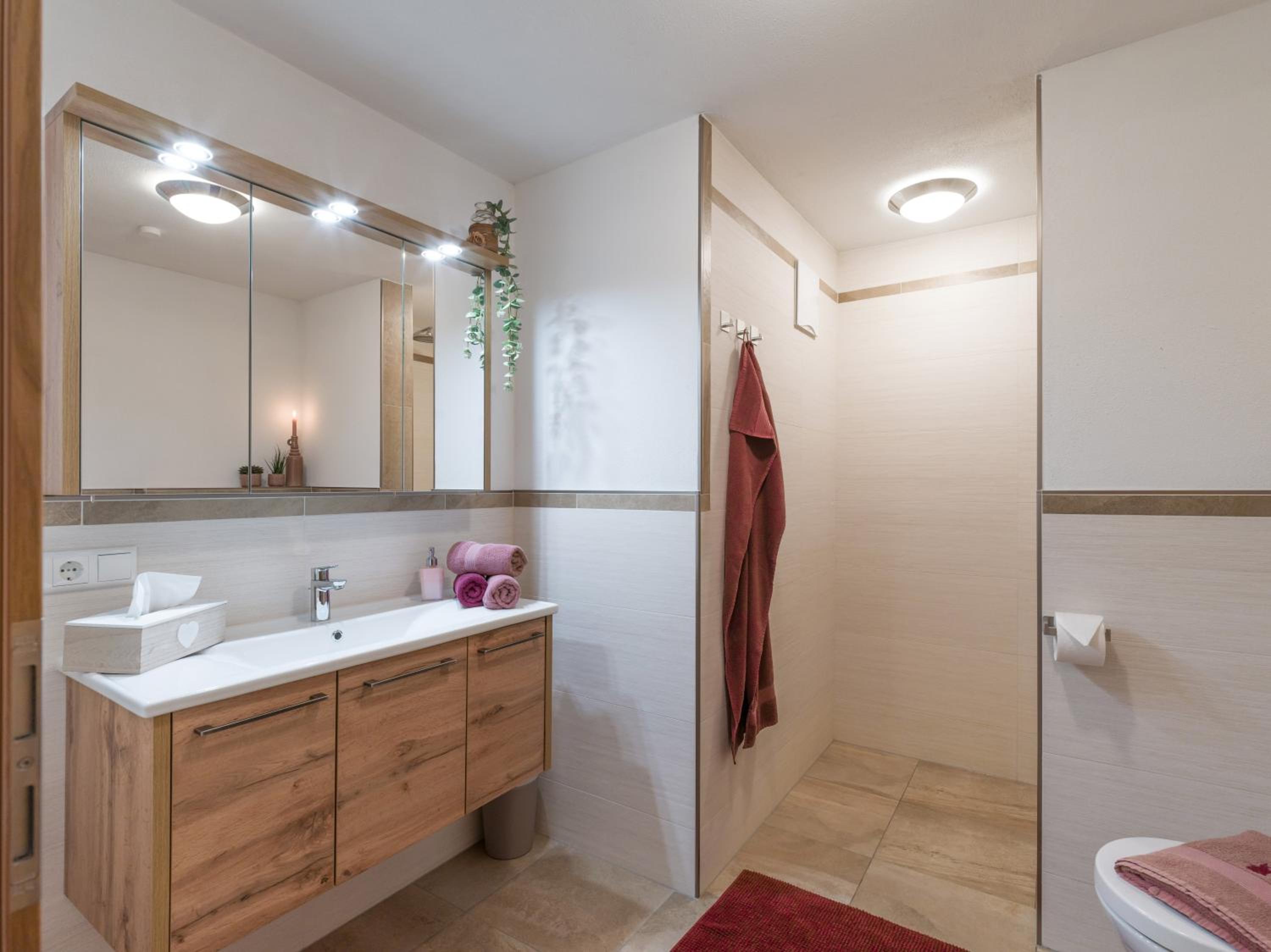 Appartement Holaus view 3