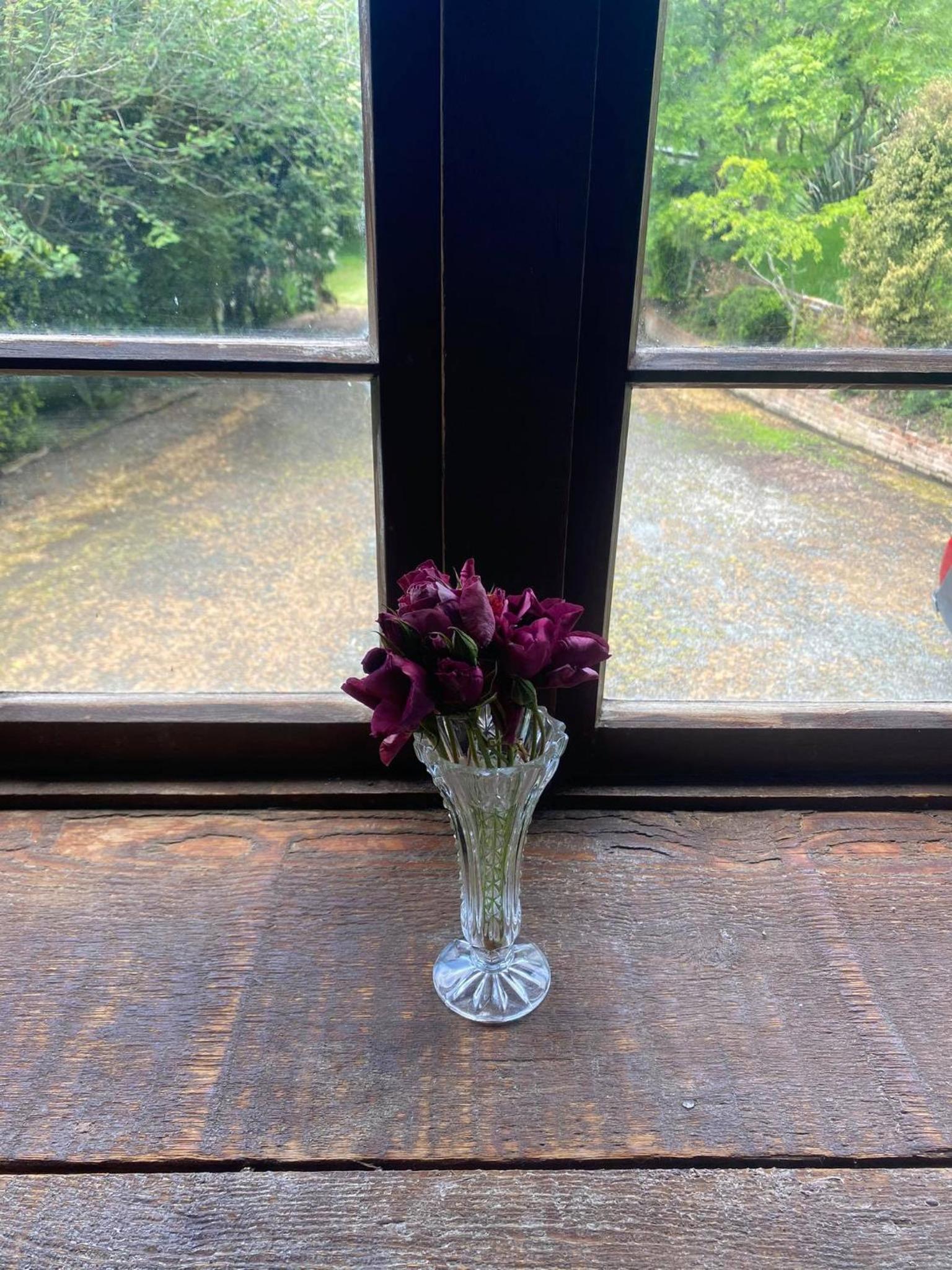 Arden Country House BnB - Entire house to yourself -peace in the country