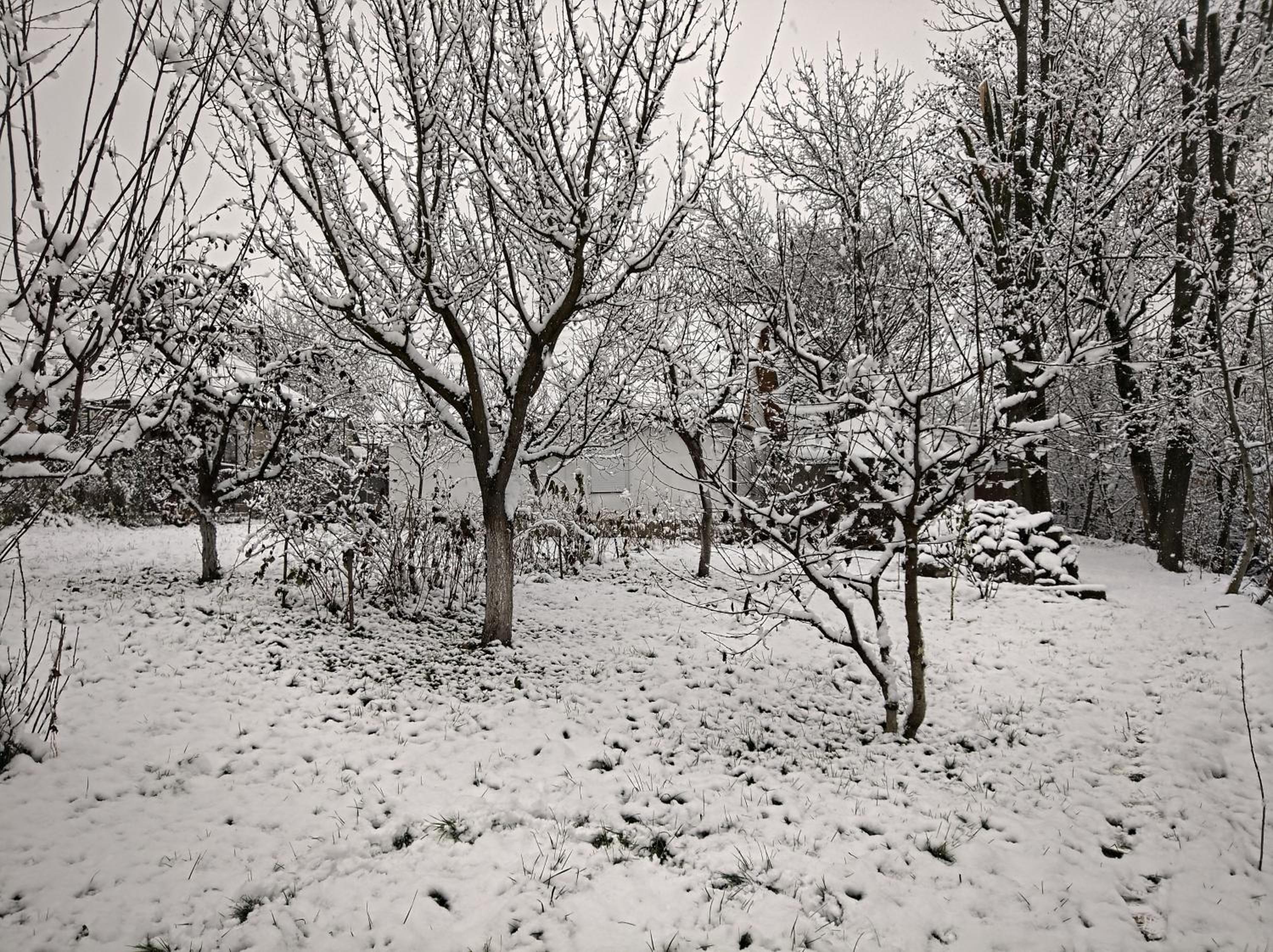 Photo 9