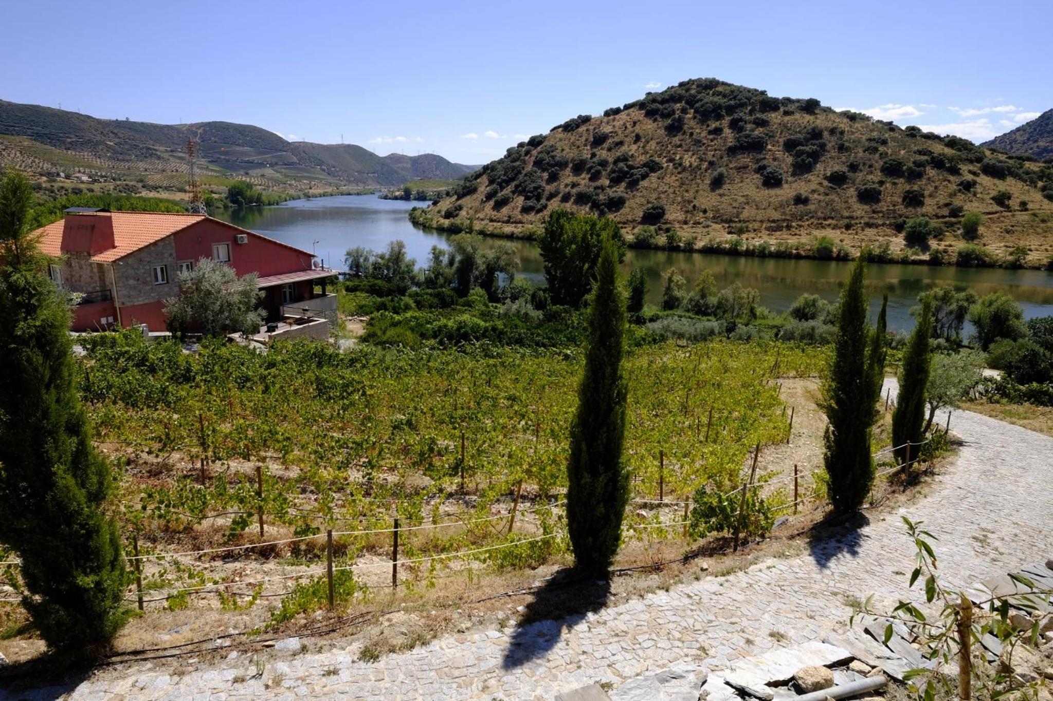 Olhares do Douro