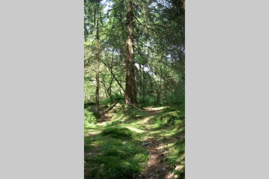 Le Son du Silence, gite 8 personnes avec sauna au bord du lac de Robertville et au pied des Hautes Fagnes