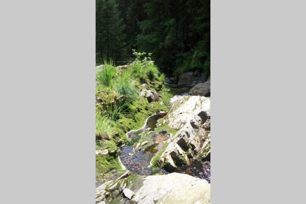 Le Son du Silence, gite 8 personnes avec sauna au bord du lac de Robertville et au pied des Hautes Fagnes