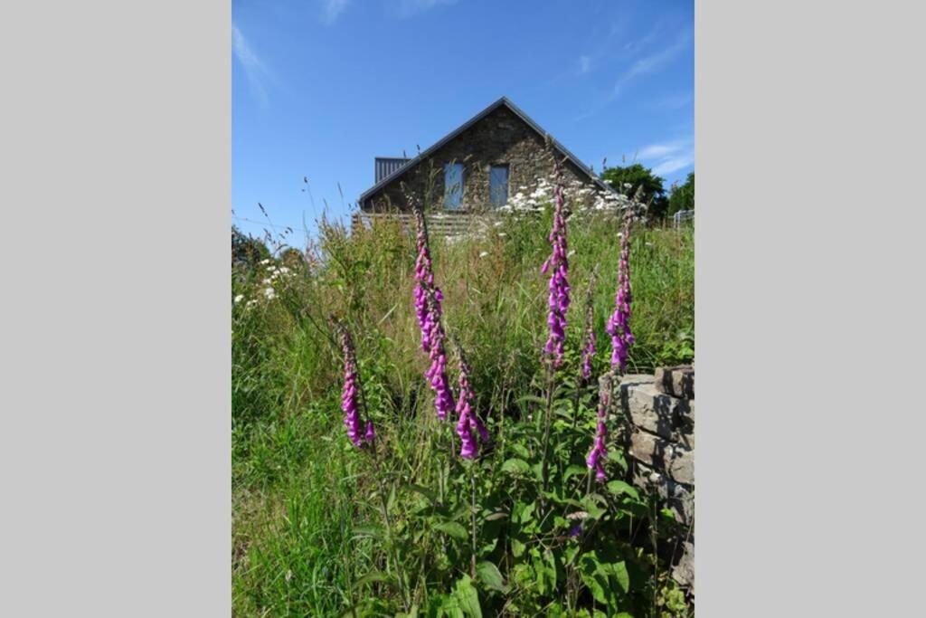 Le Son du Silence, gite 8 personnes avec sauna au bord du lac de Robertville et au pied des Hautes Fagnes