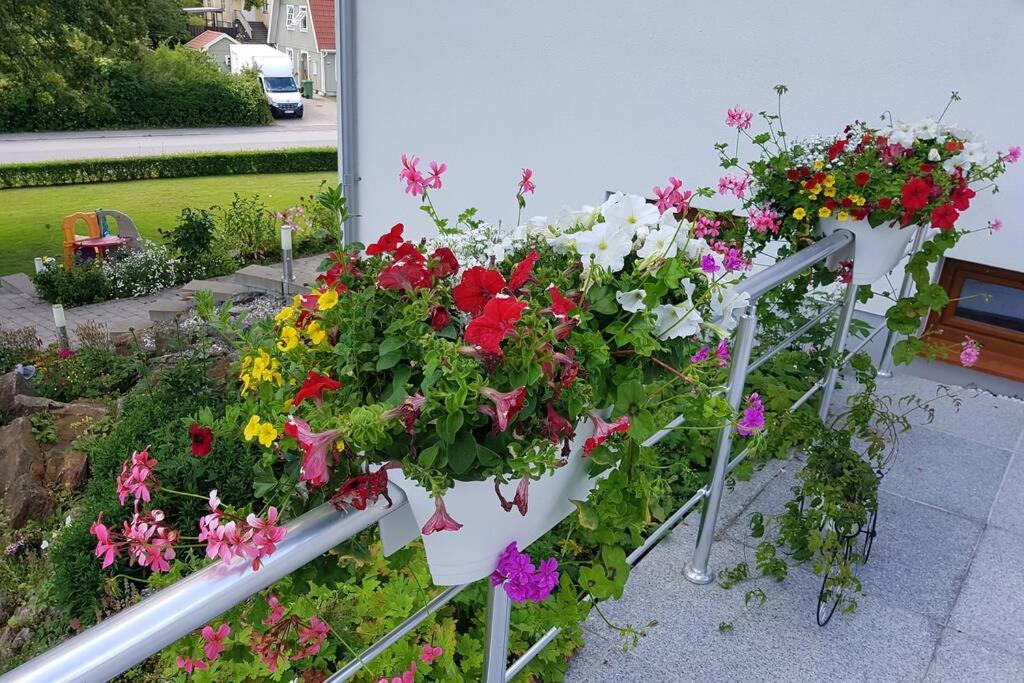 Photo 40