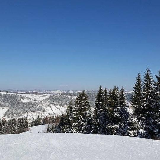 Milanova koliba Zlatar view 4