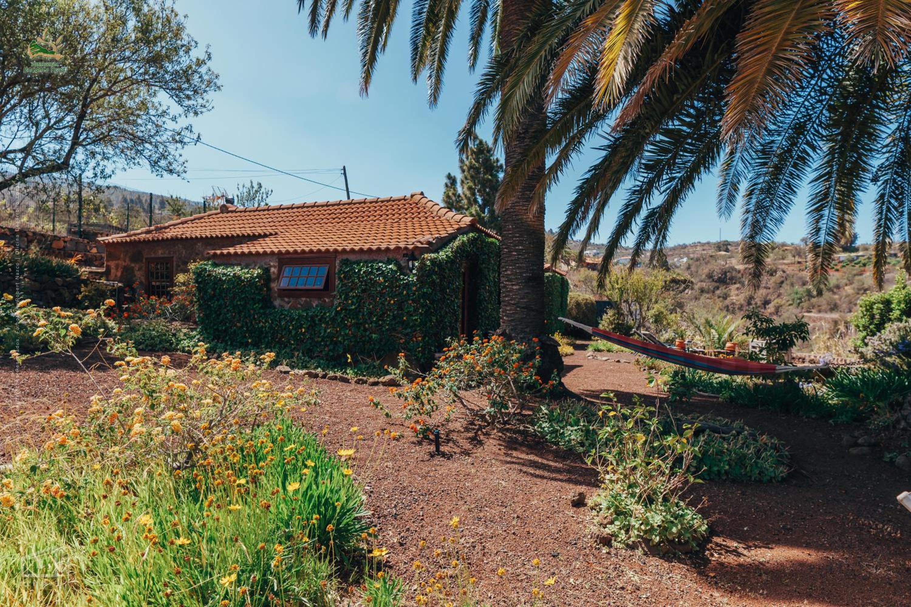 Casa Palmera view 2
