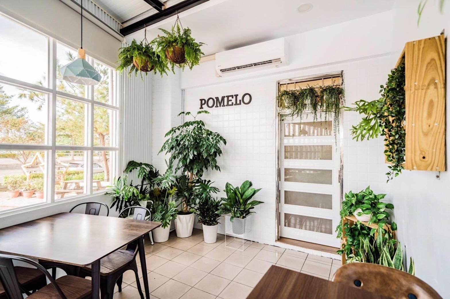 Pomelo Homestay