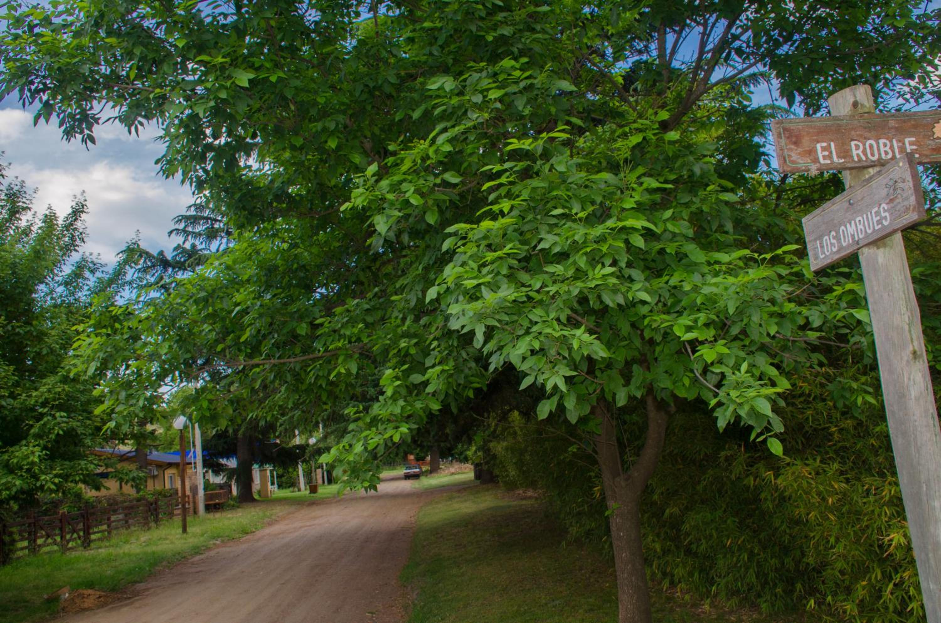 Cabaña La Arcadia