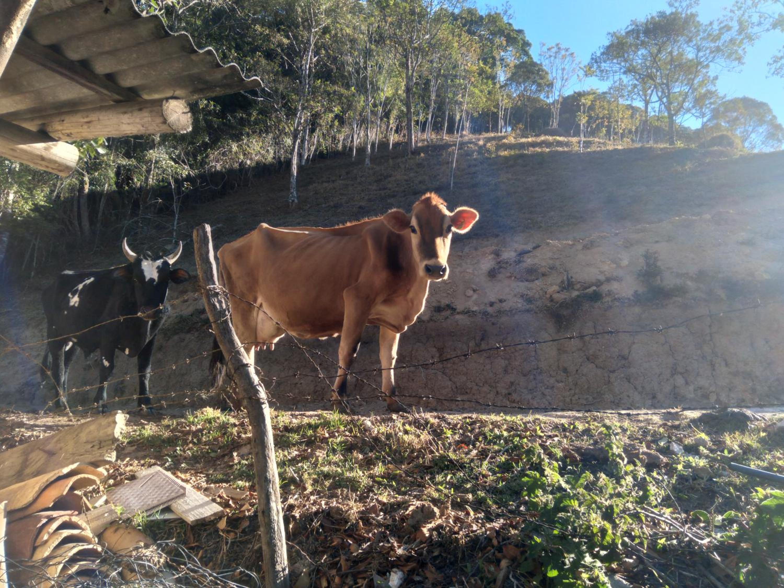 Rancho Pedra do Picú