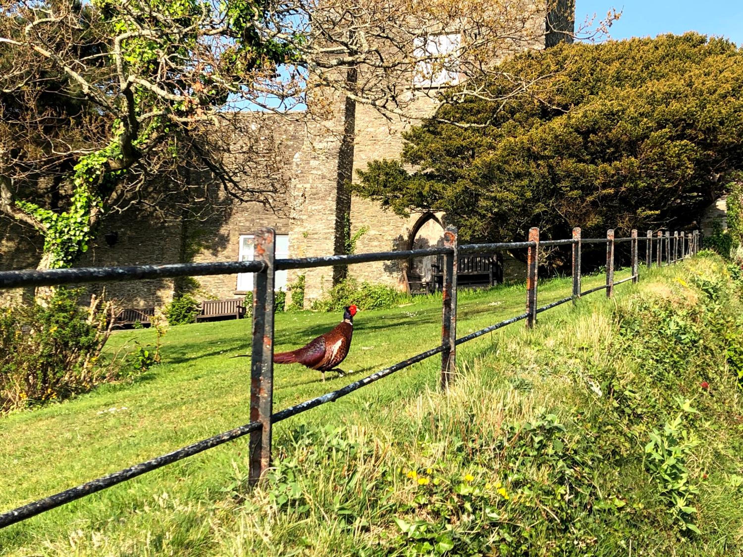 Lynton Vacations - The North Cliff Hotel - Property Image 167