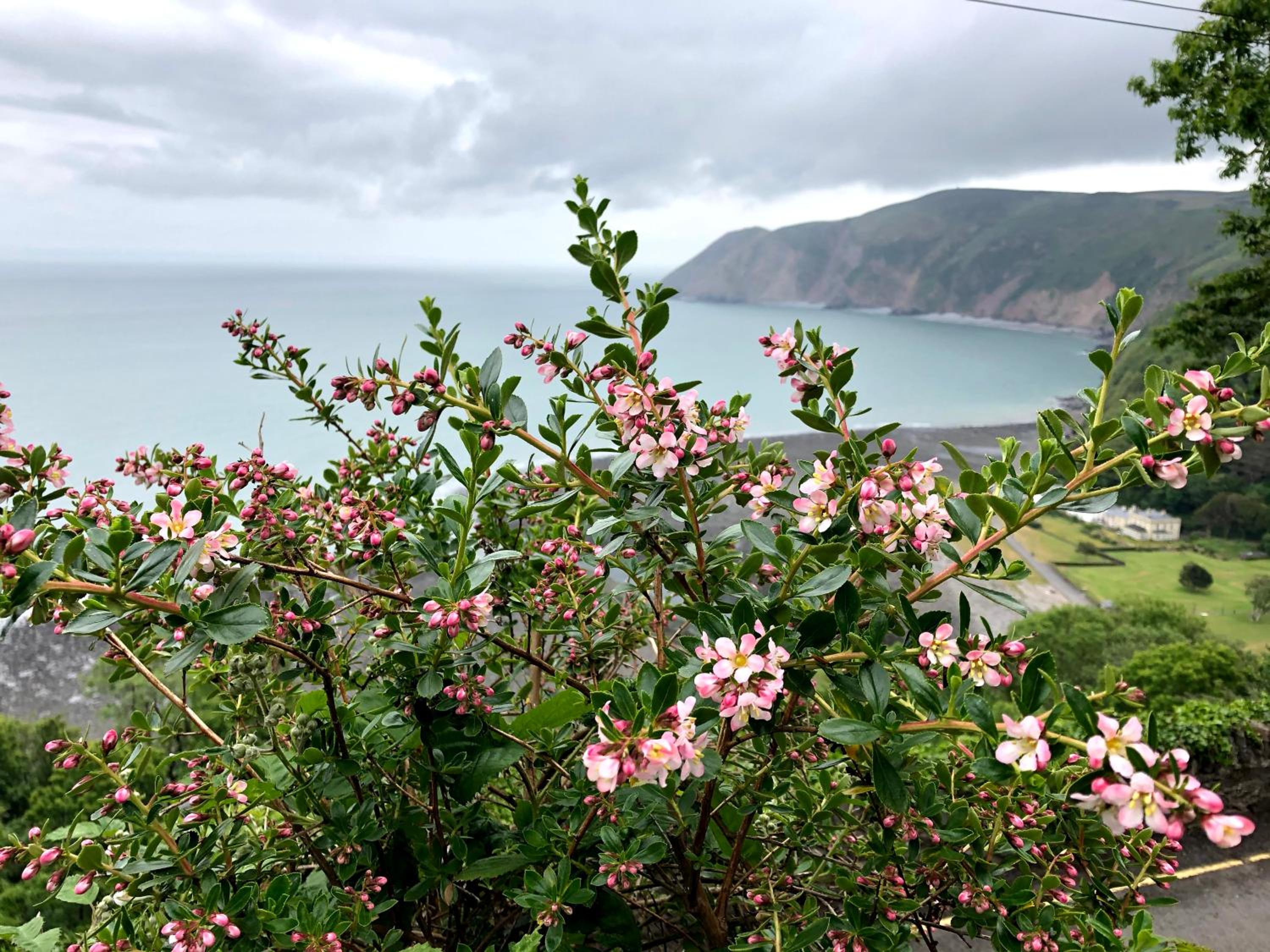 Lynton Vacations - The North Cliff Hotel - Property Image 171