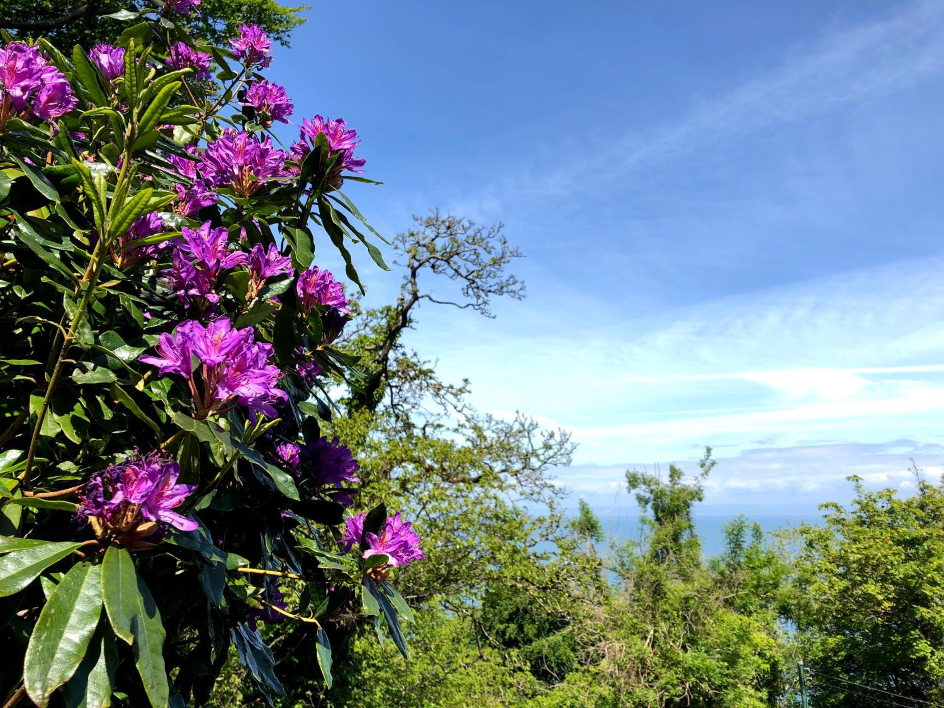 Lynton Vacations - The North Cliff Hotel - Property Image 199