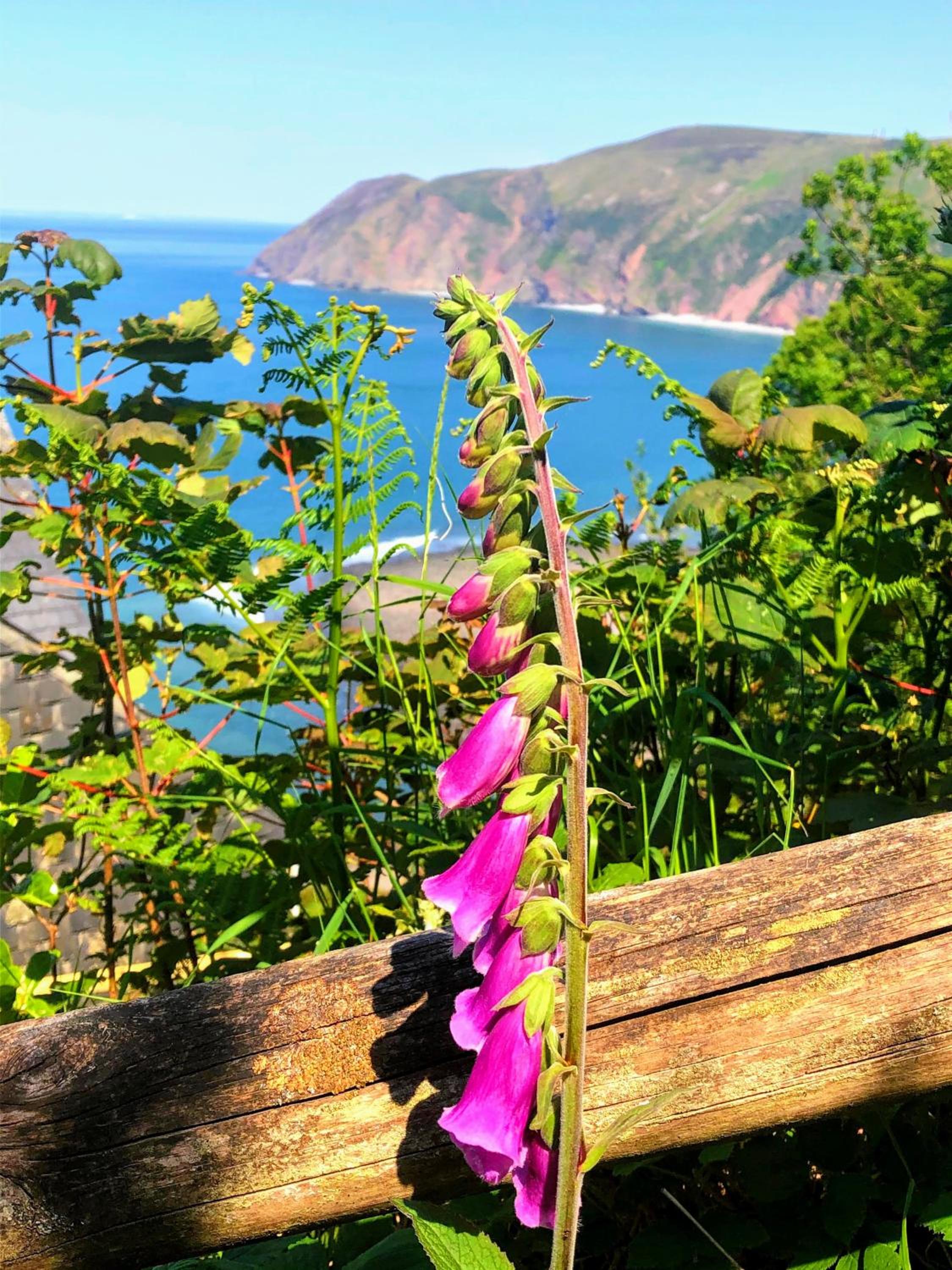 Lynton Vacations - The North Cliff Hotel - Property Image 174