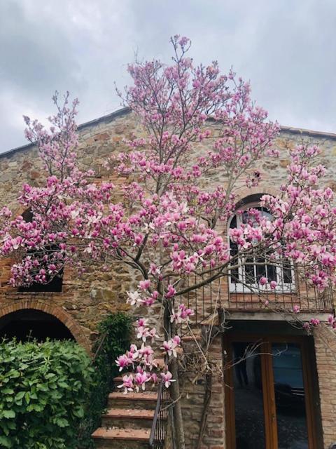 La Magnolia view 4