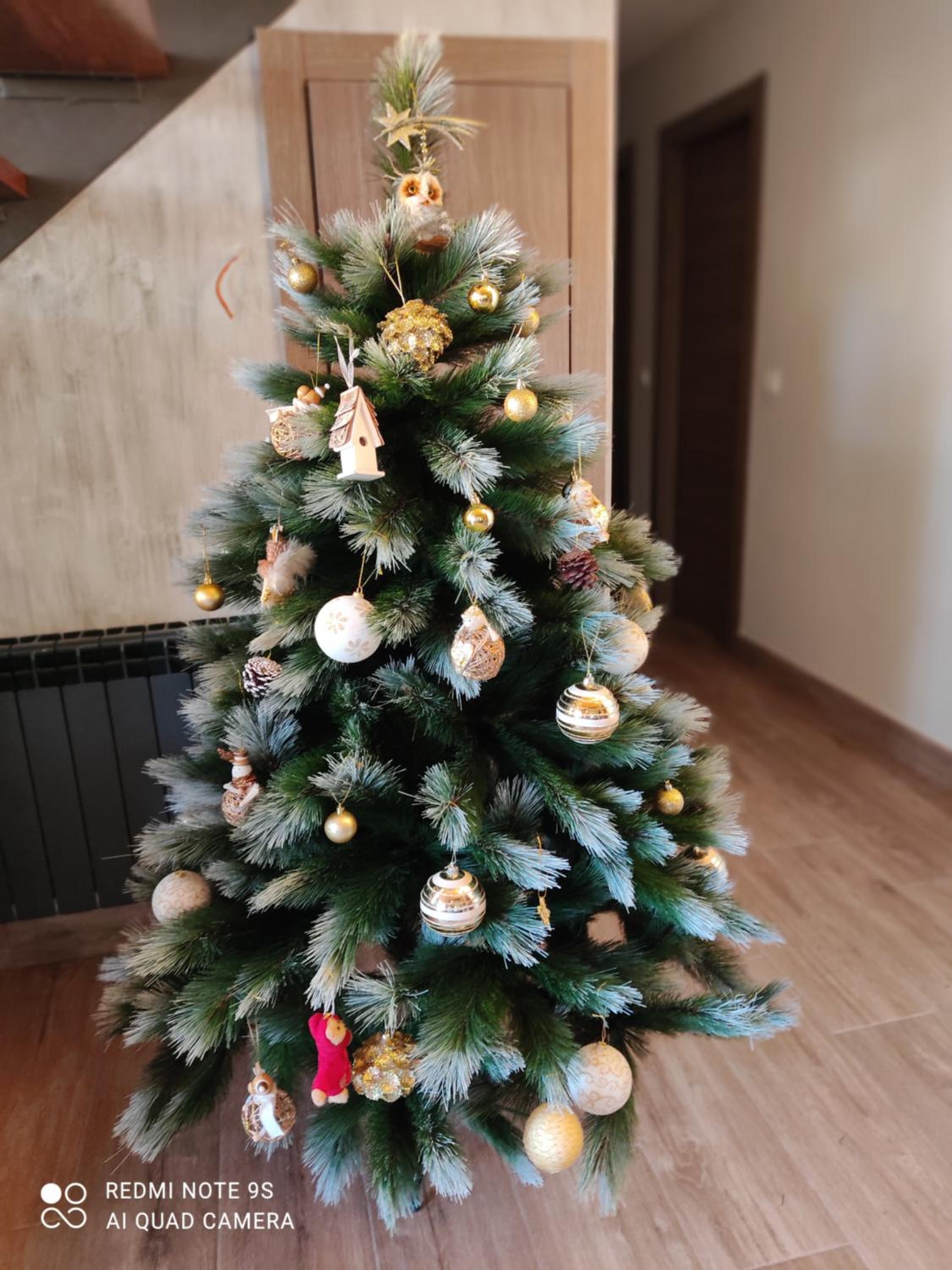 Photo 32