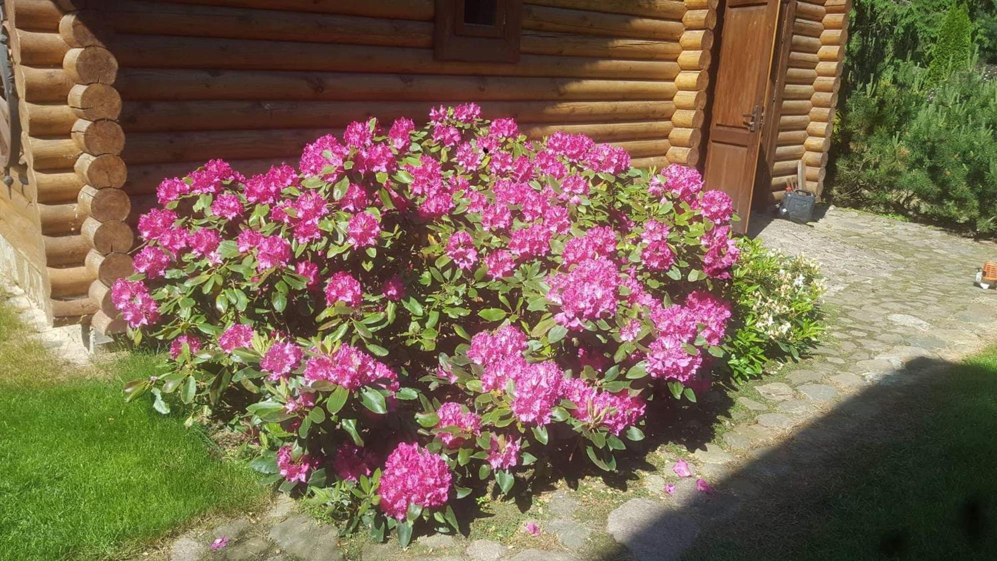 Photo 45