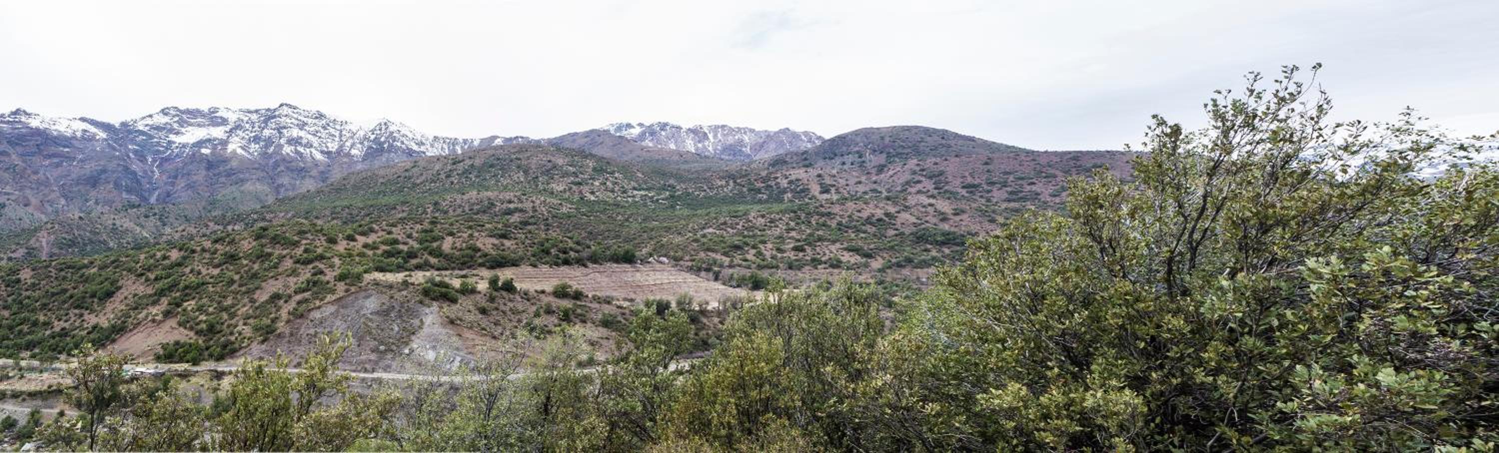 Refugio Cordillera Flora endógena Bosque Esclerófilo