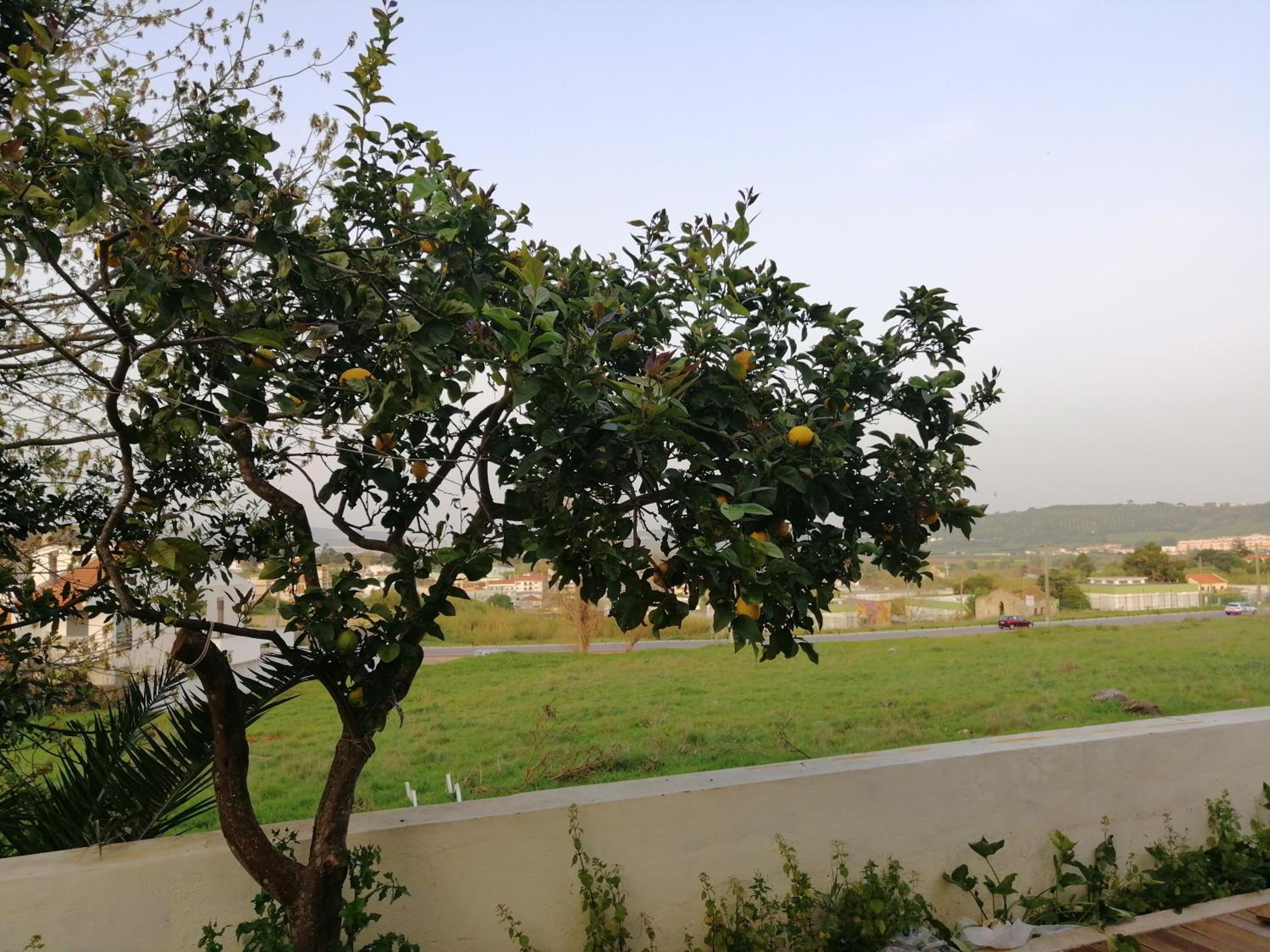 Plena Vita RESIDENCE view 2