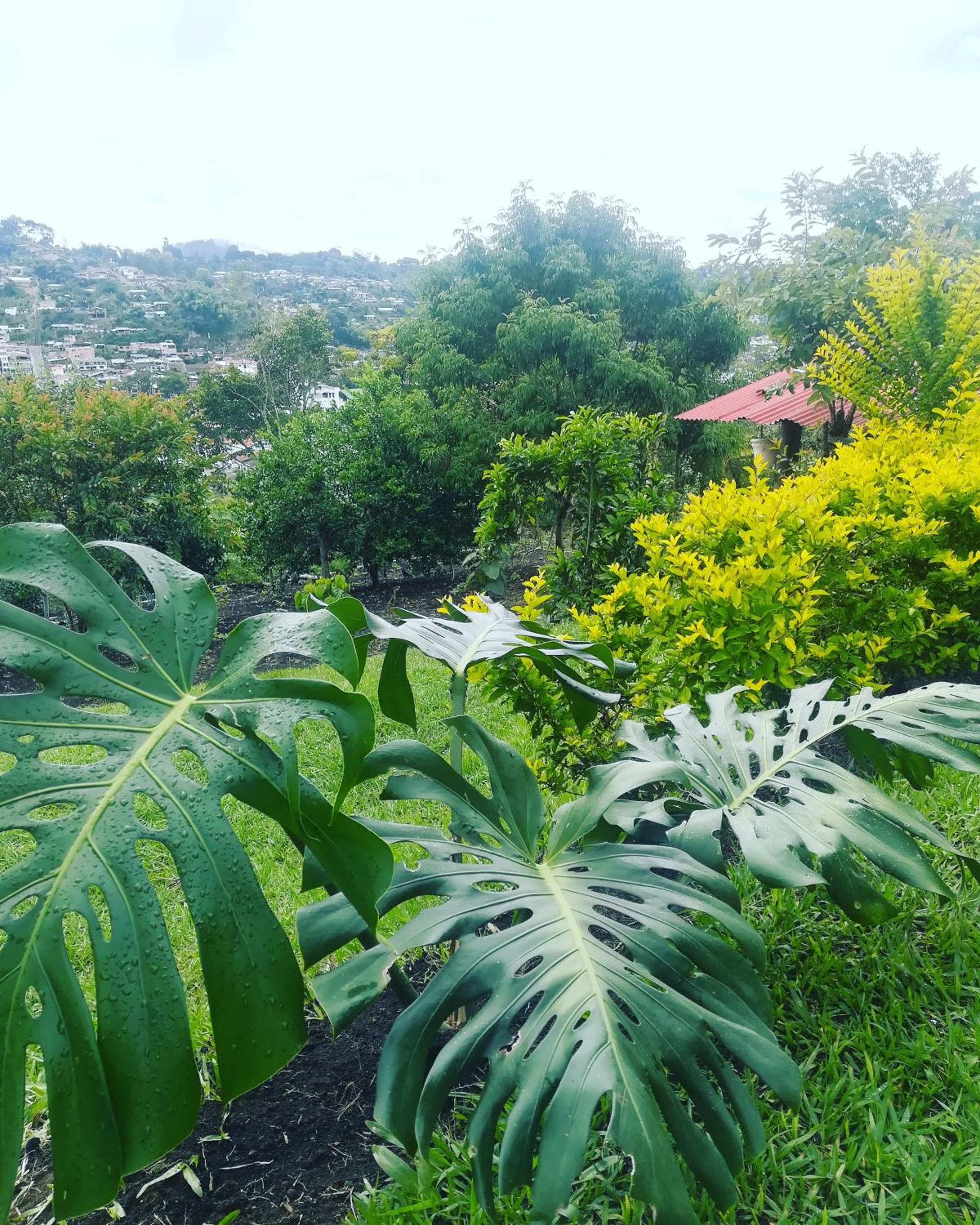 San Agustín Wayrana