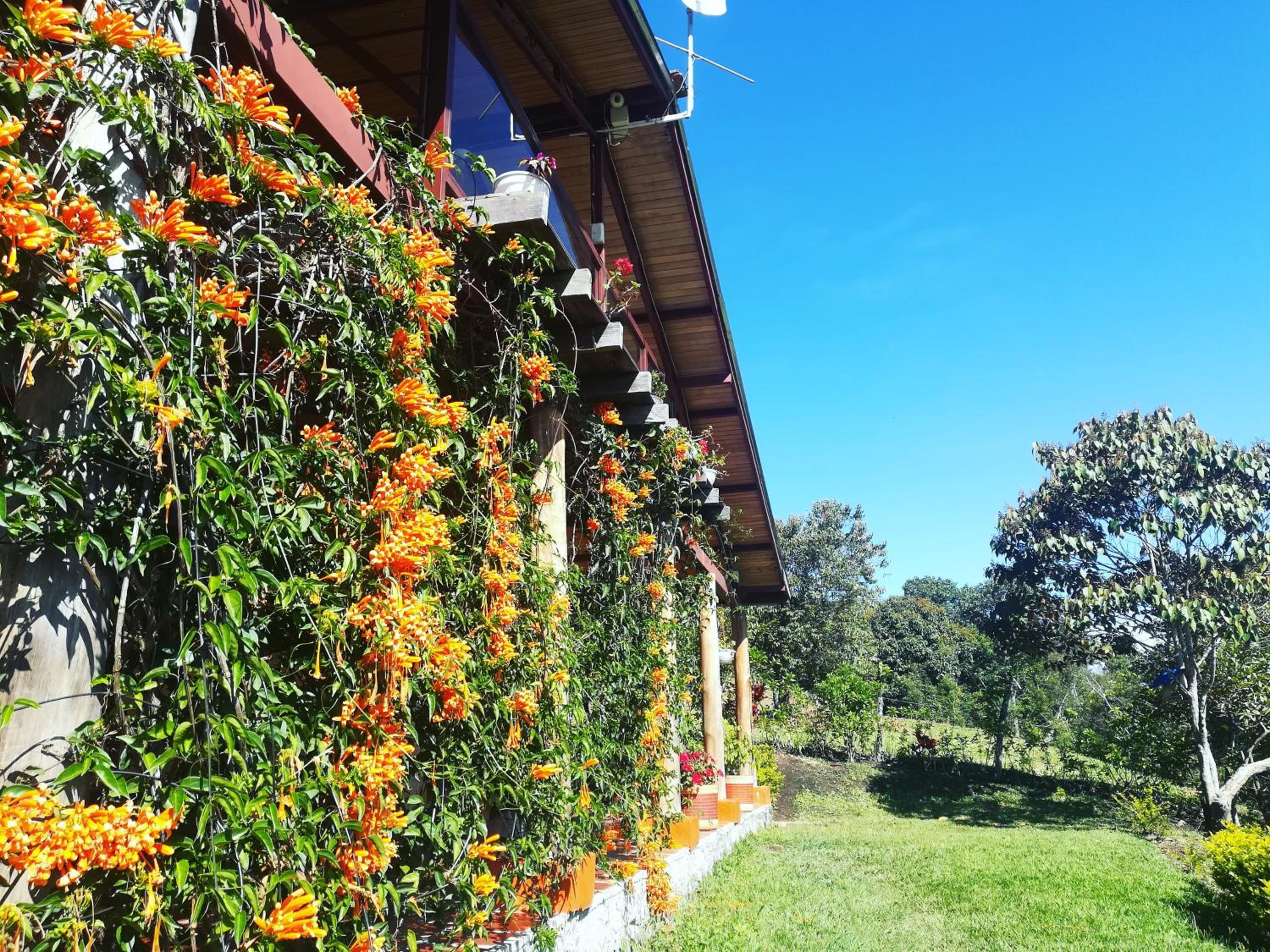 San Agustín Wayrana