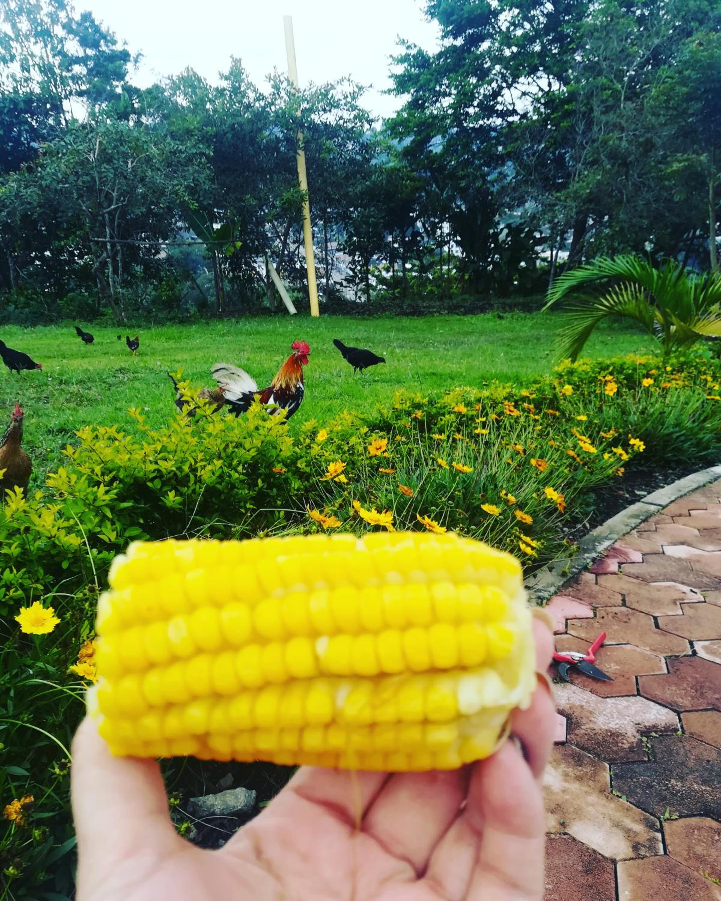 San Agustín Wayrana