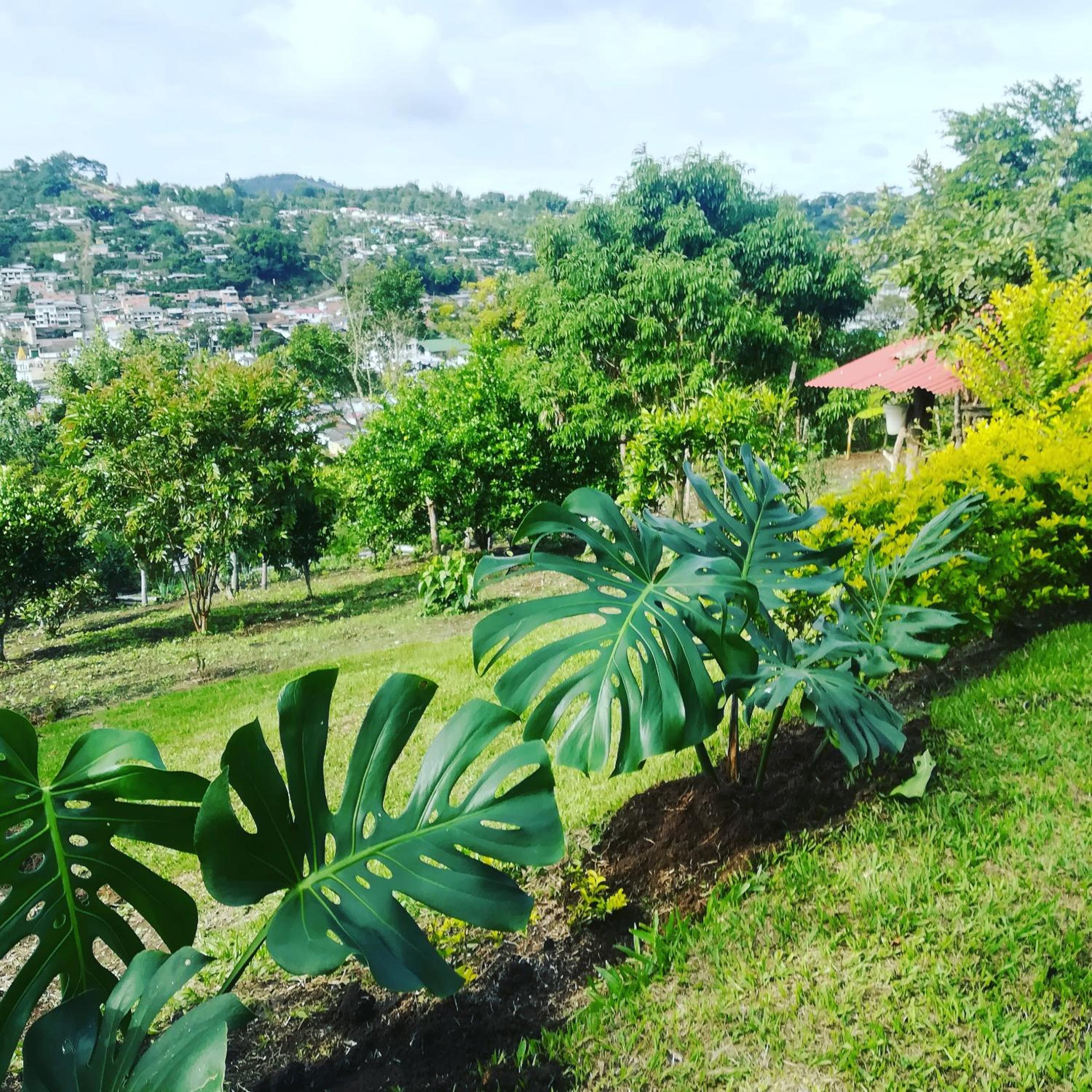 San Agustín Wayrana