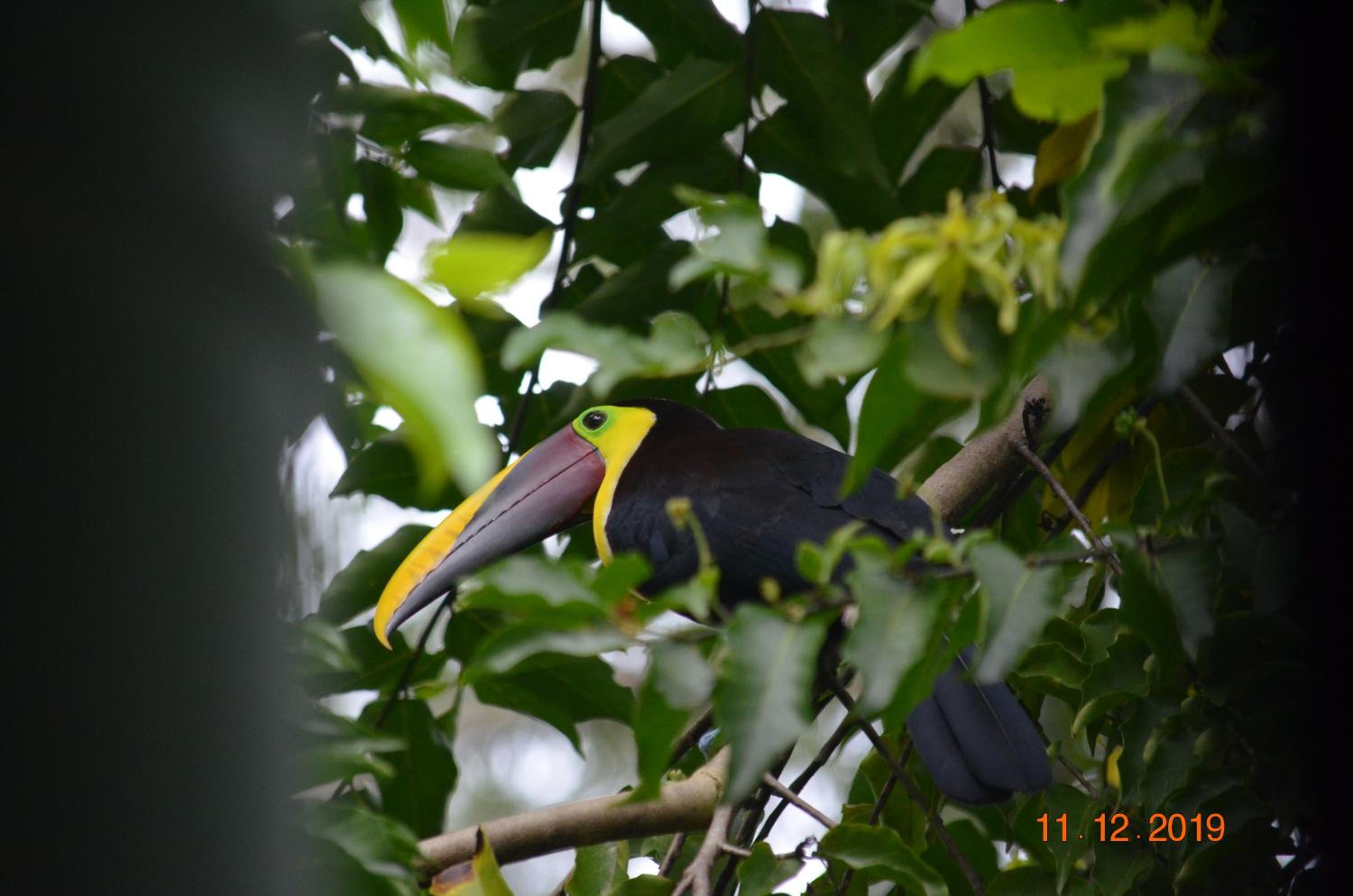 Mango Tree Villas view 5