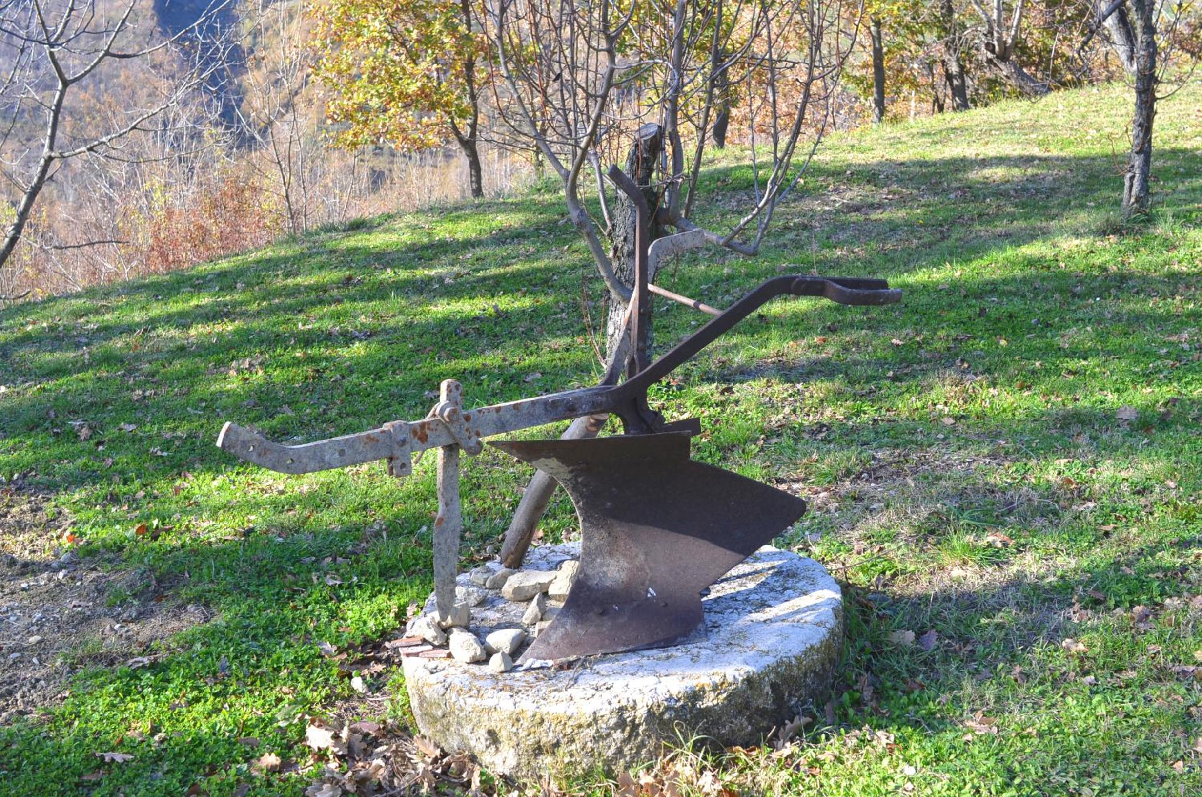 Photo 49